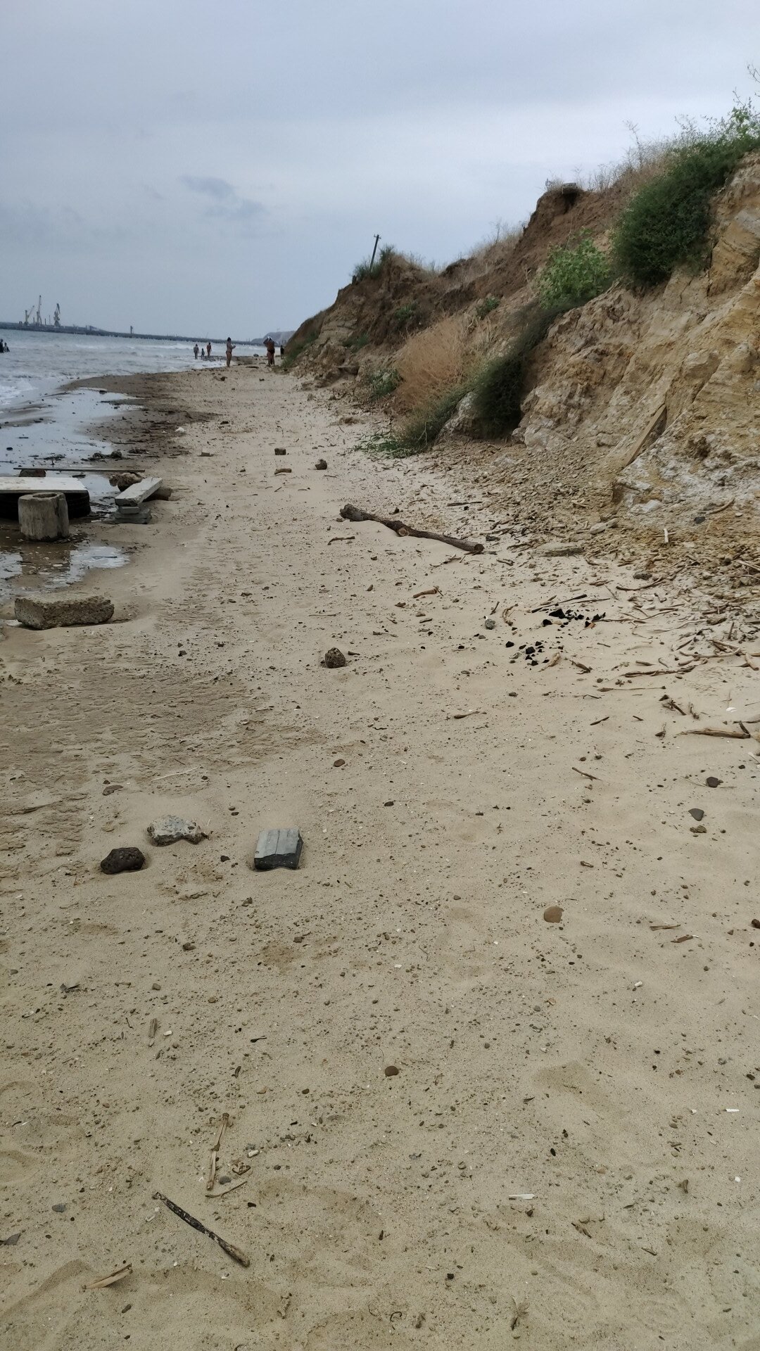 Фото Звезда Тамани