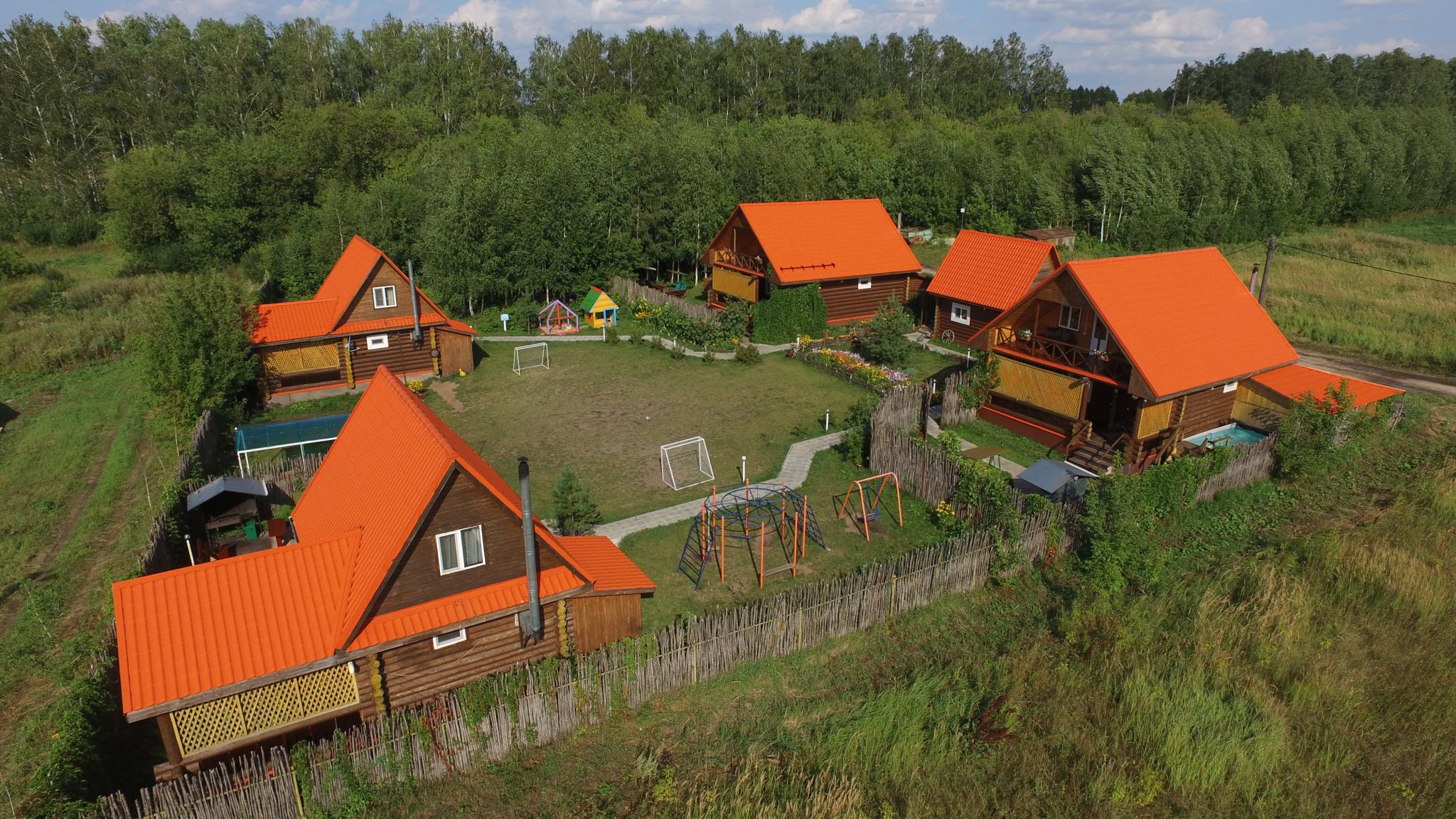 Фото Подсолнух