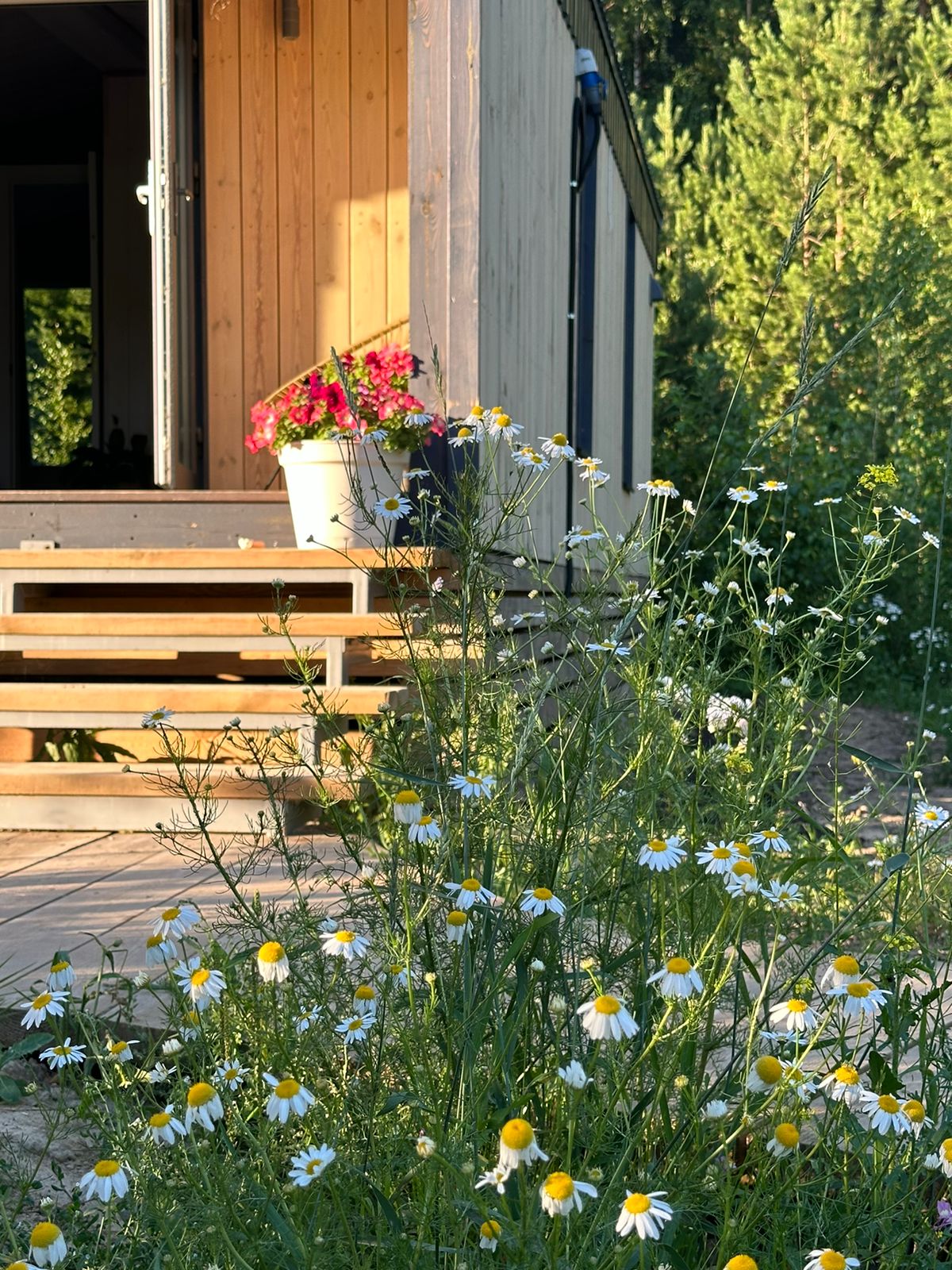 Фото БелкиПарк