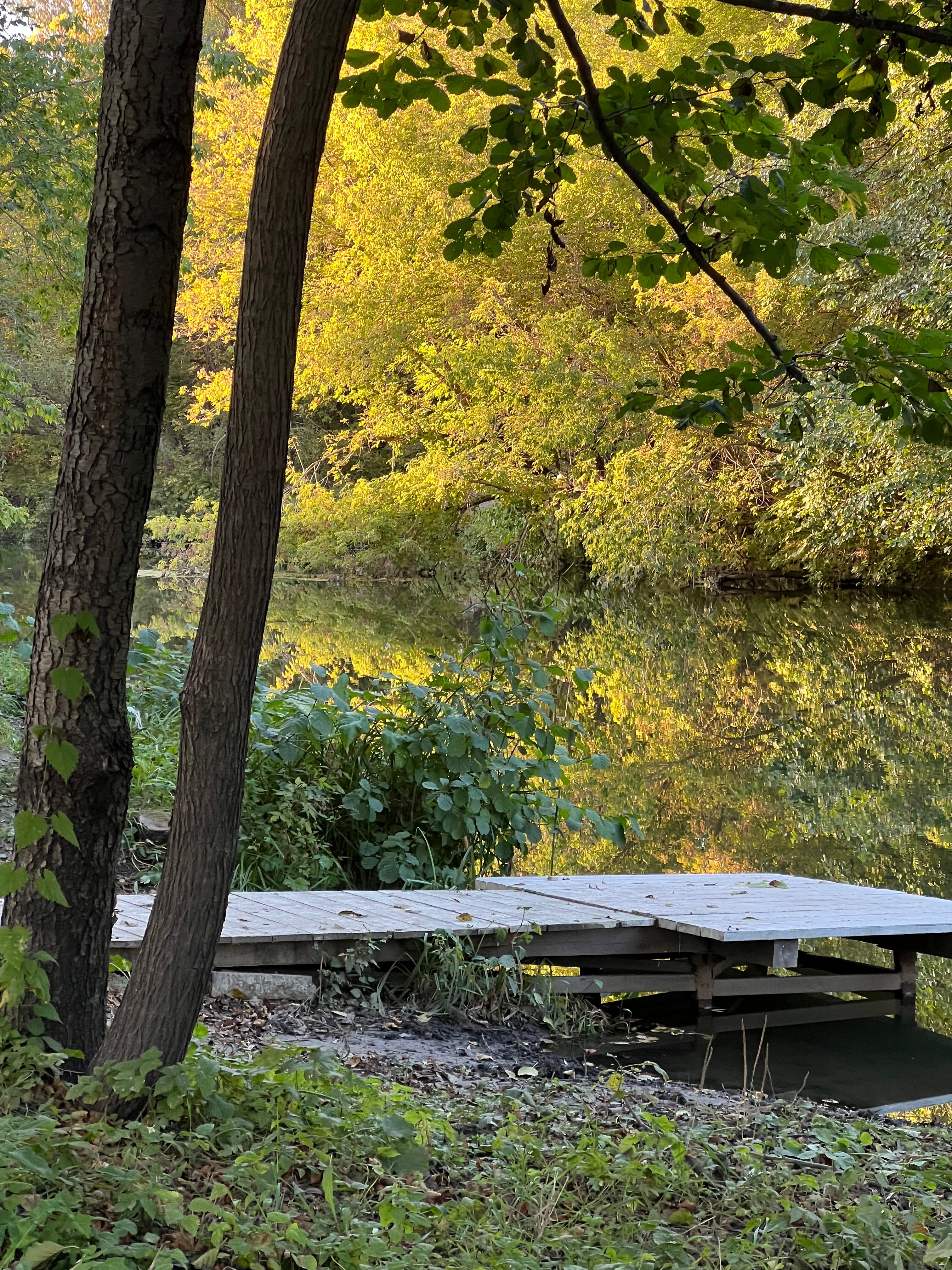 Фото Жилье посуточно