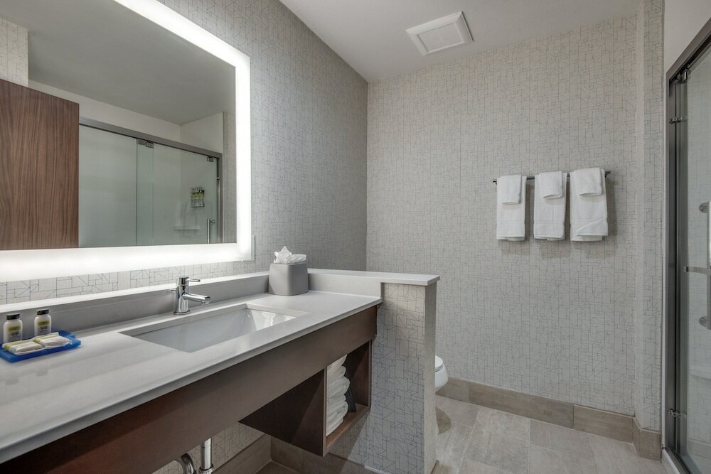 Фото Holiday Inn Express & Suites Dallas North - Addison, an Ihg Hotel