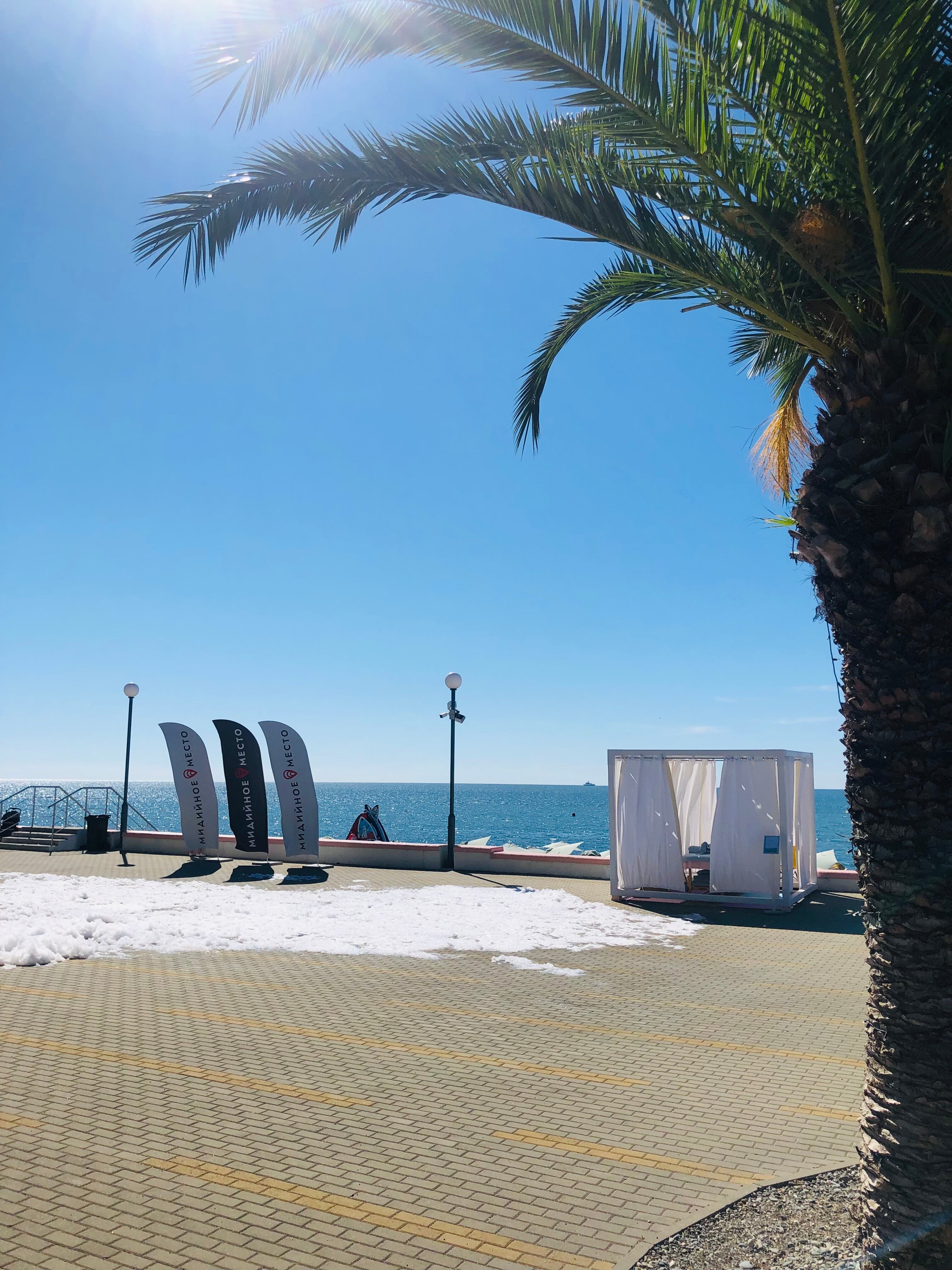 Фото Дельфин