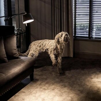 Фото Dakota Glasgow