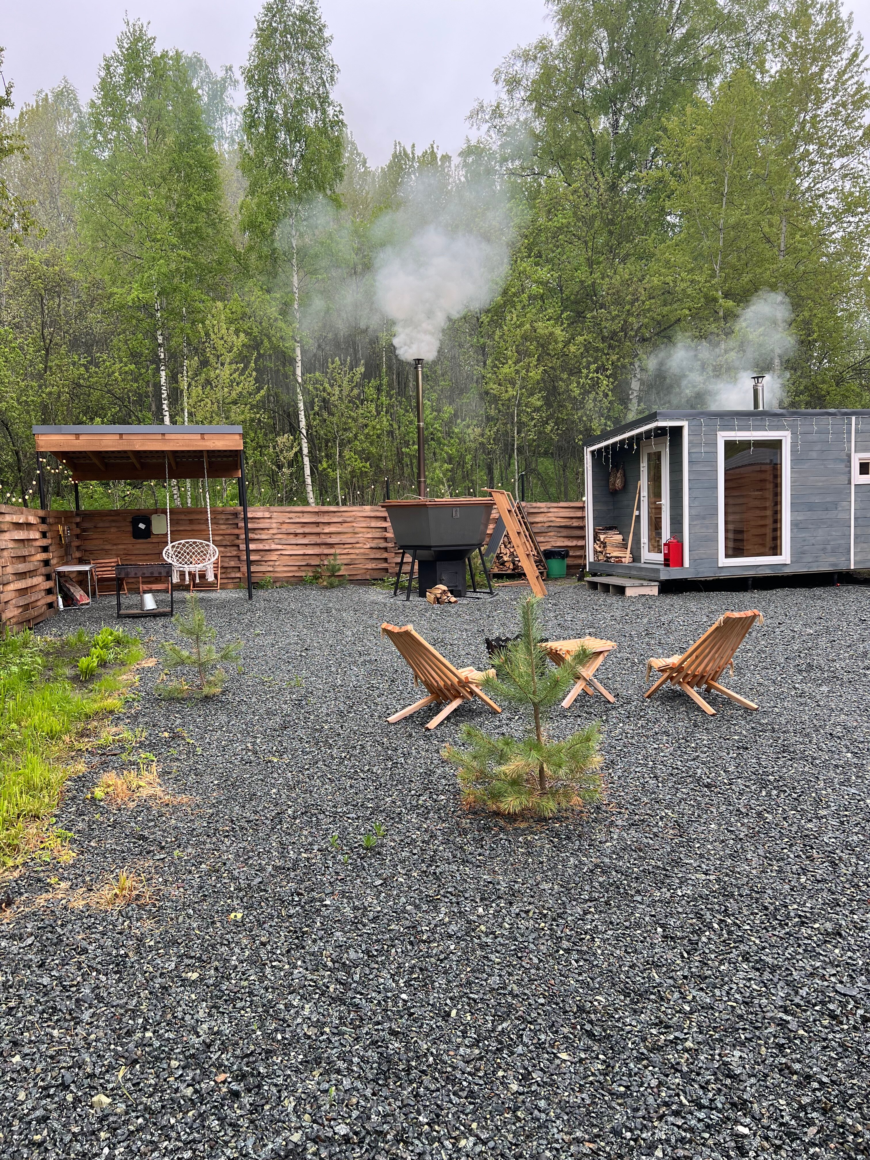 Фото Шёпот леса