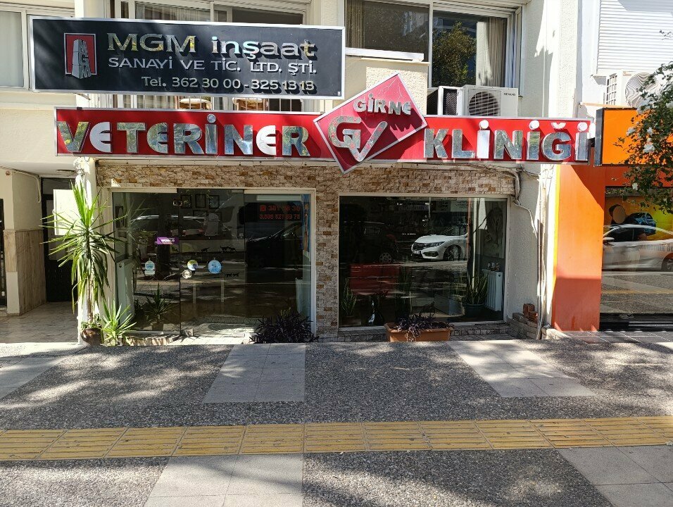 Veterinary clinic Girne Veterinary Clinic, Izmir, photo