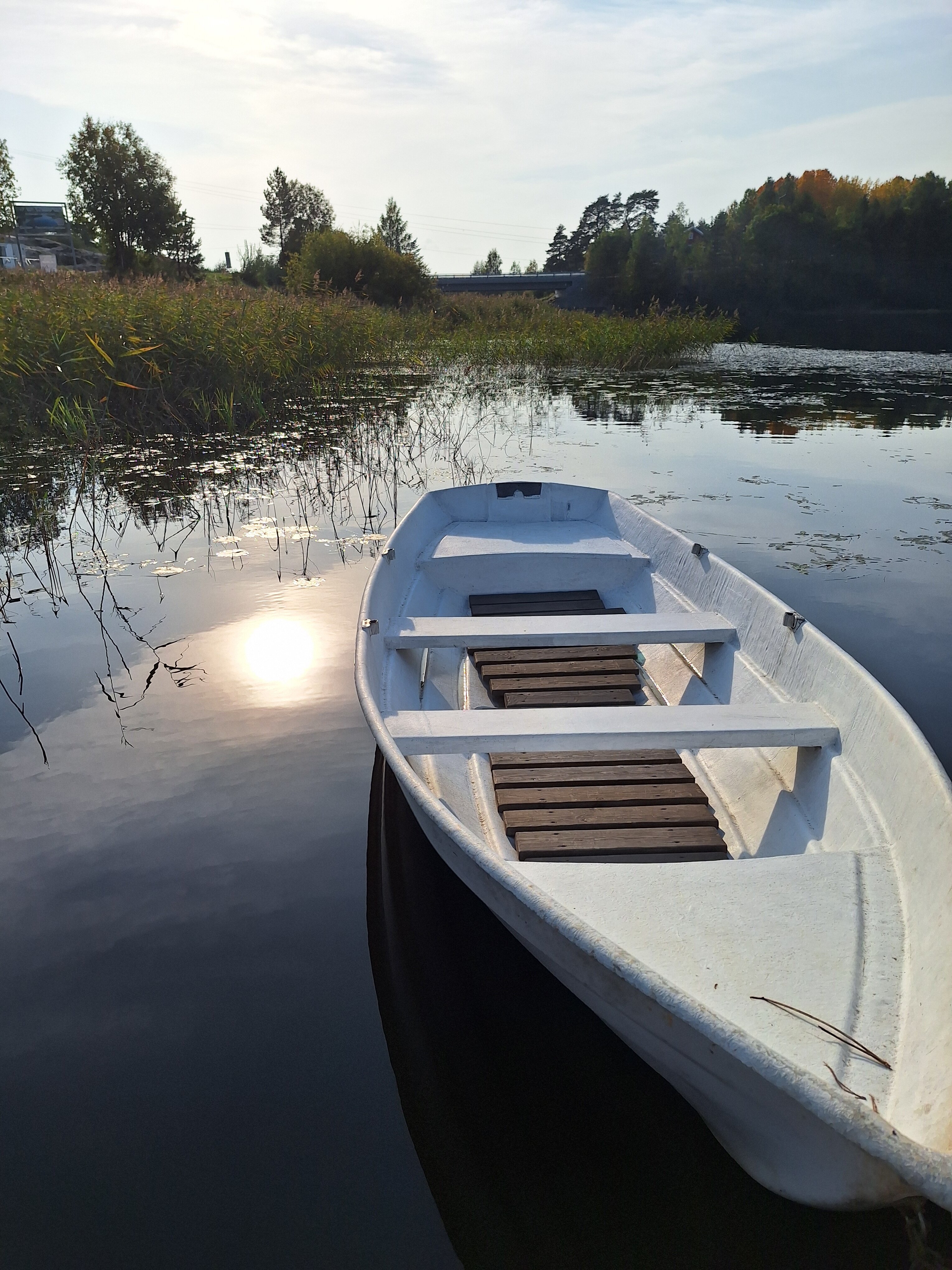 Фото Моррис