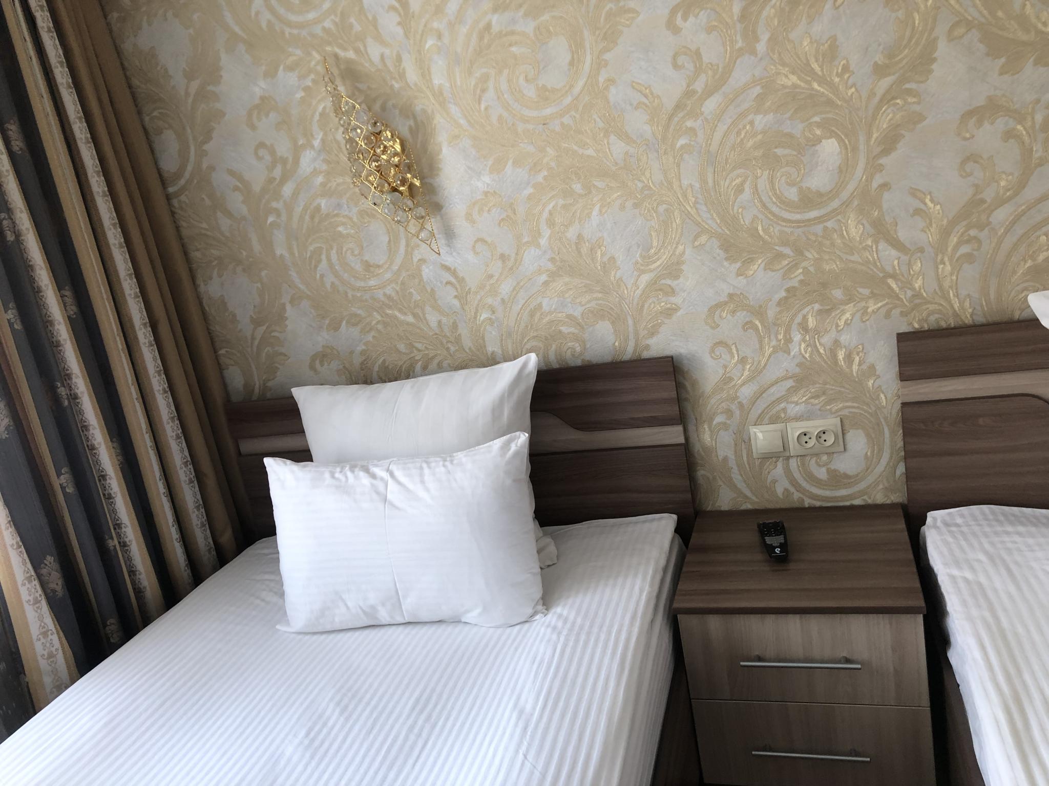 Фото Шведка