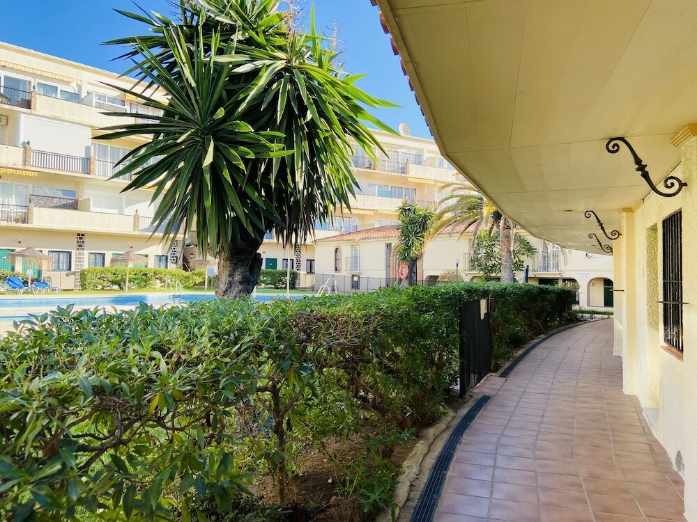 Фото Hotel Los Jazmines