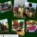 Aytül Temiz Landscape Design (Istanbul, Sariyer, Maslak Neighborhood, Ahi Evran Avenue, 6A), architectural firm