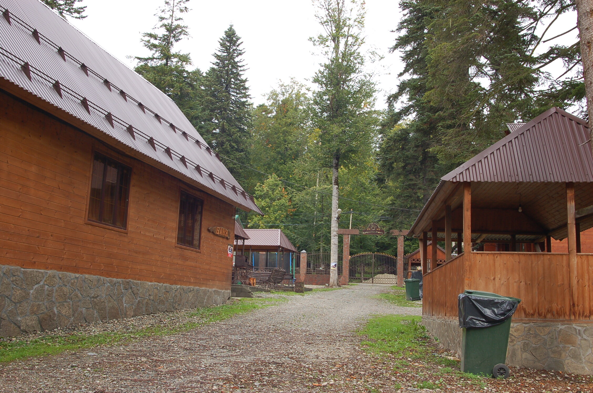 Фото Forest Yard