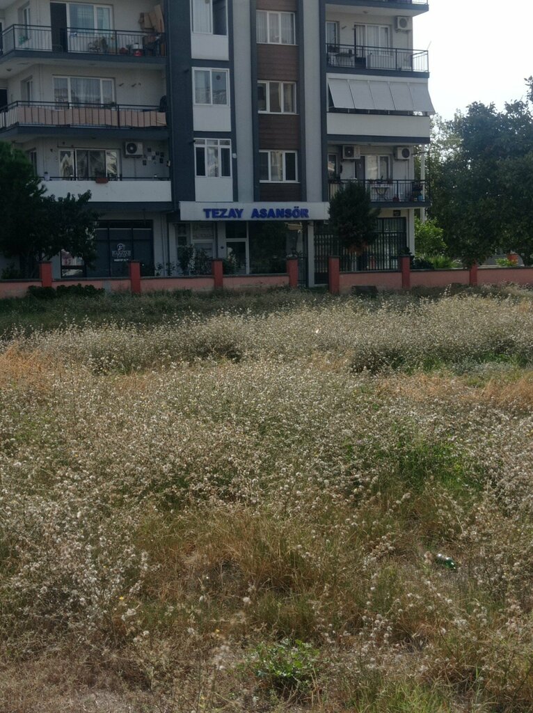 Lifts and equipment Feyz Ay Elevator, Izmir, photo