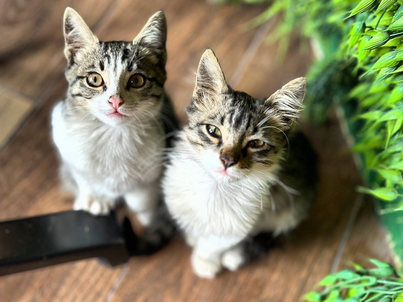 Фото Grand Fortune