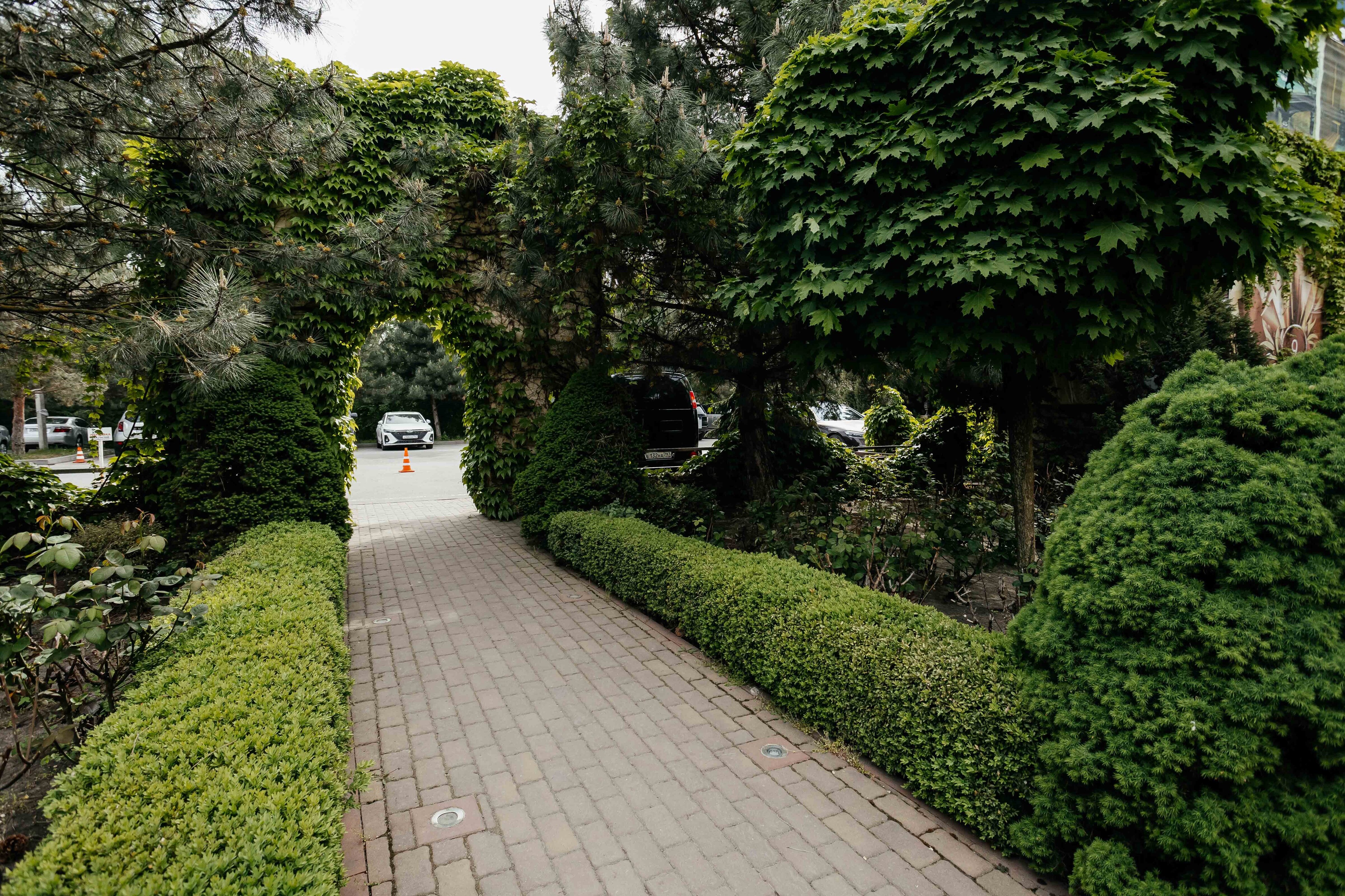 Фото Донская роща