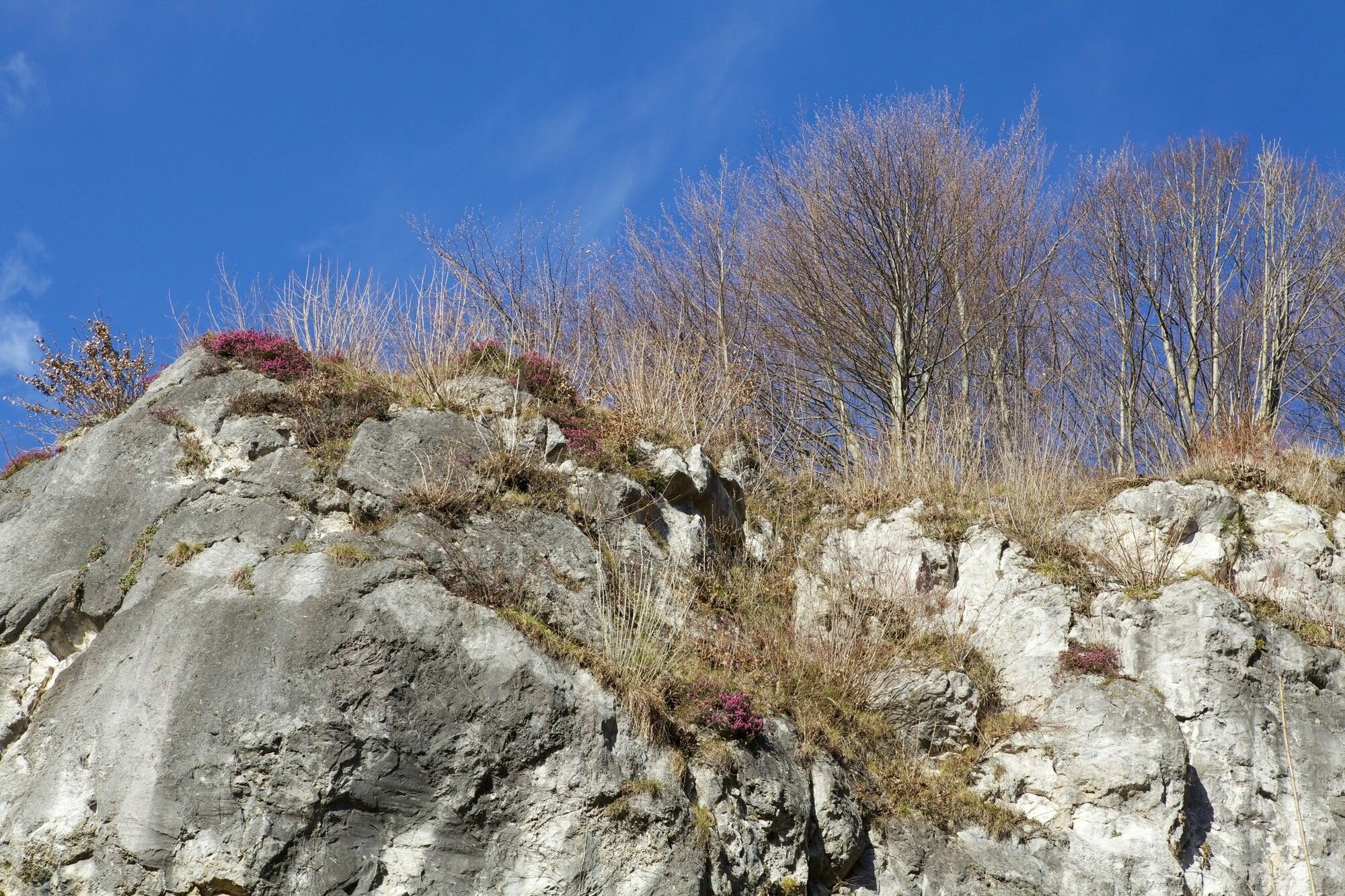 Фото Hotel Krone 1512