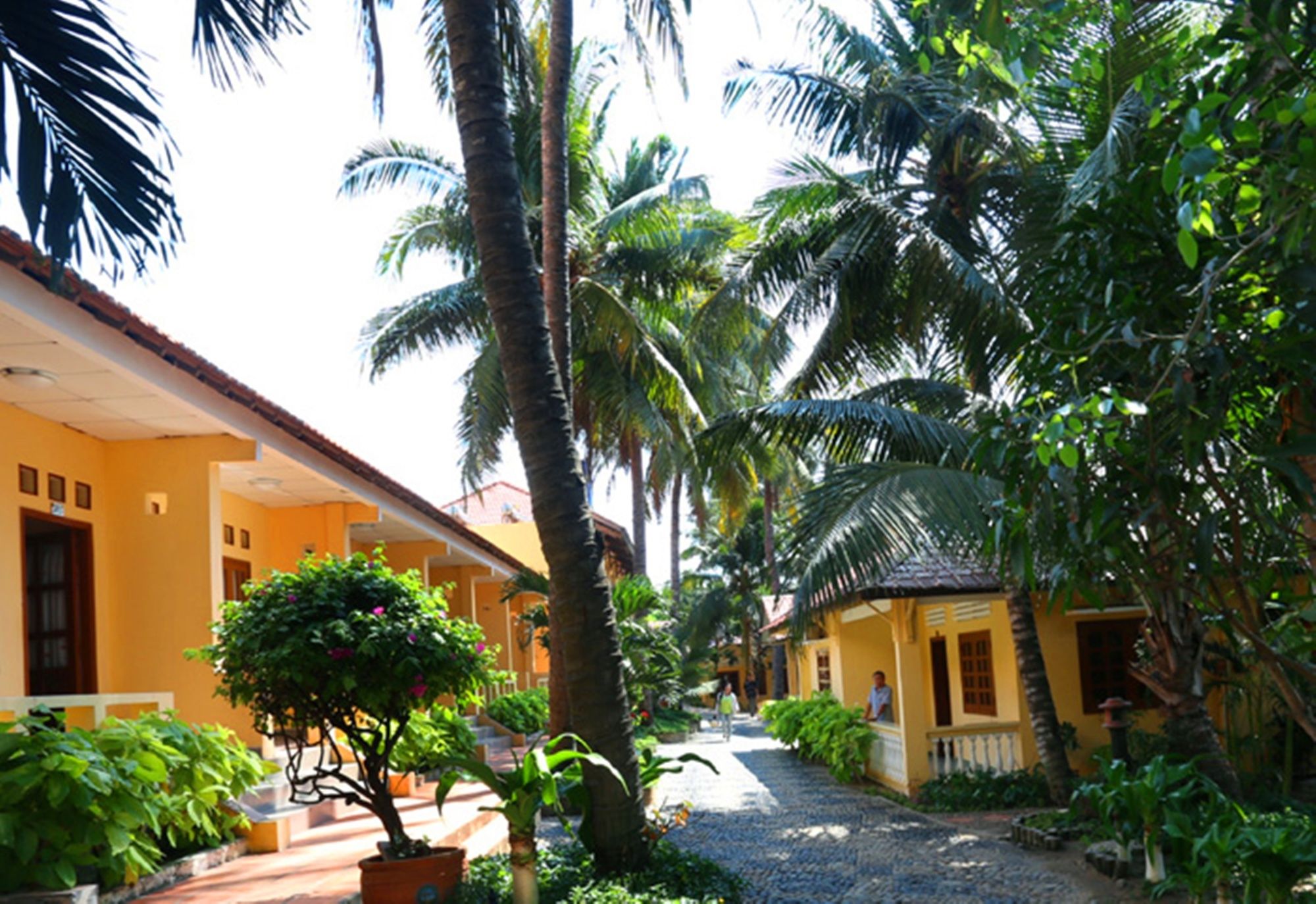 Фото Hon Rom Central Beach Resort