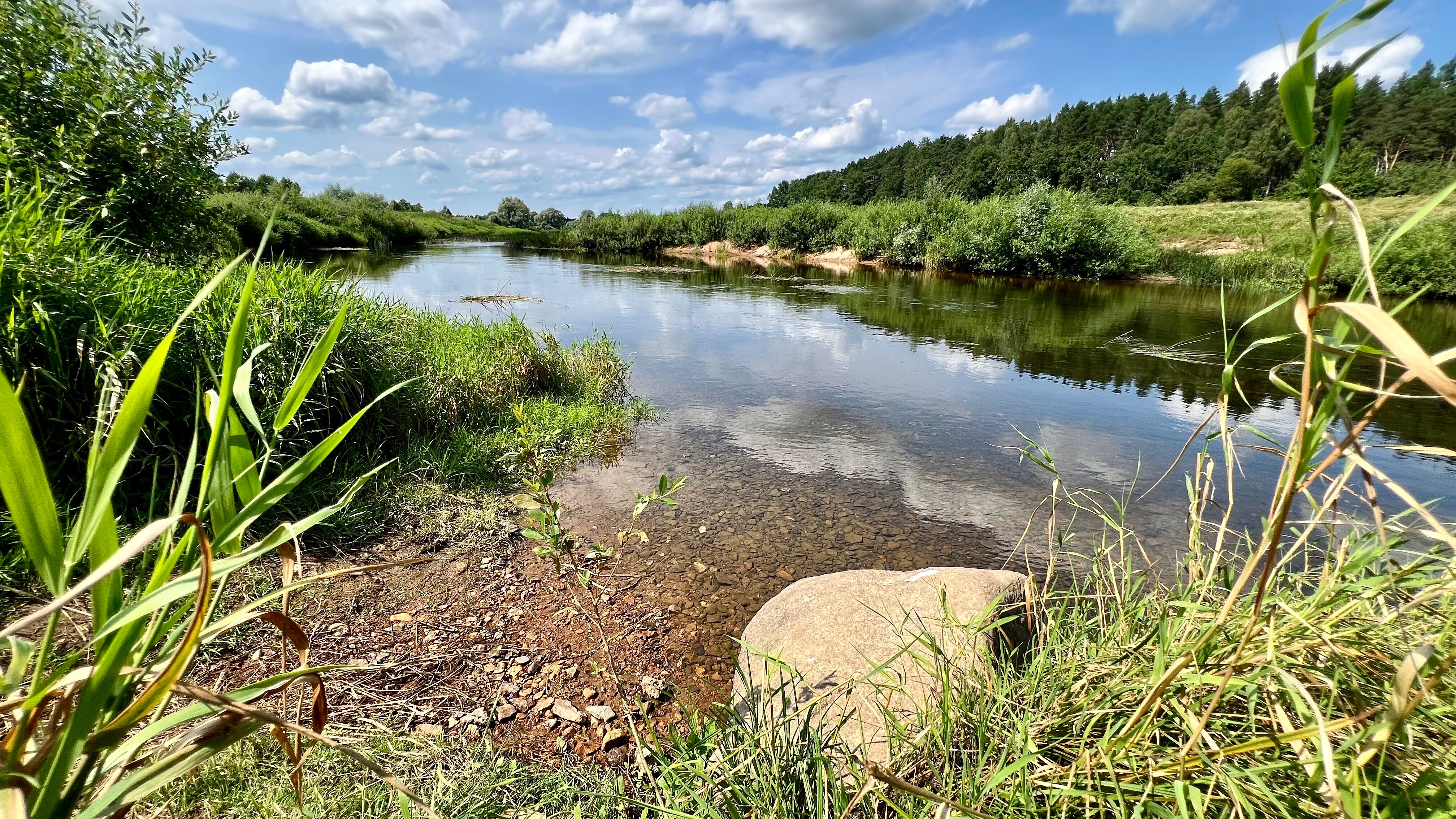 Фото Благоречье