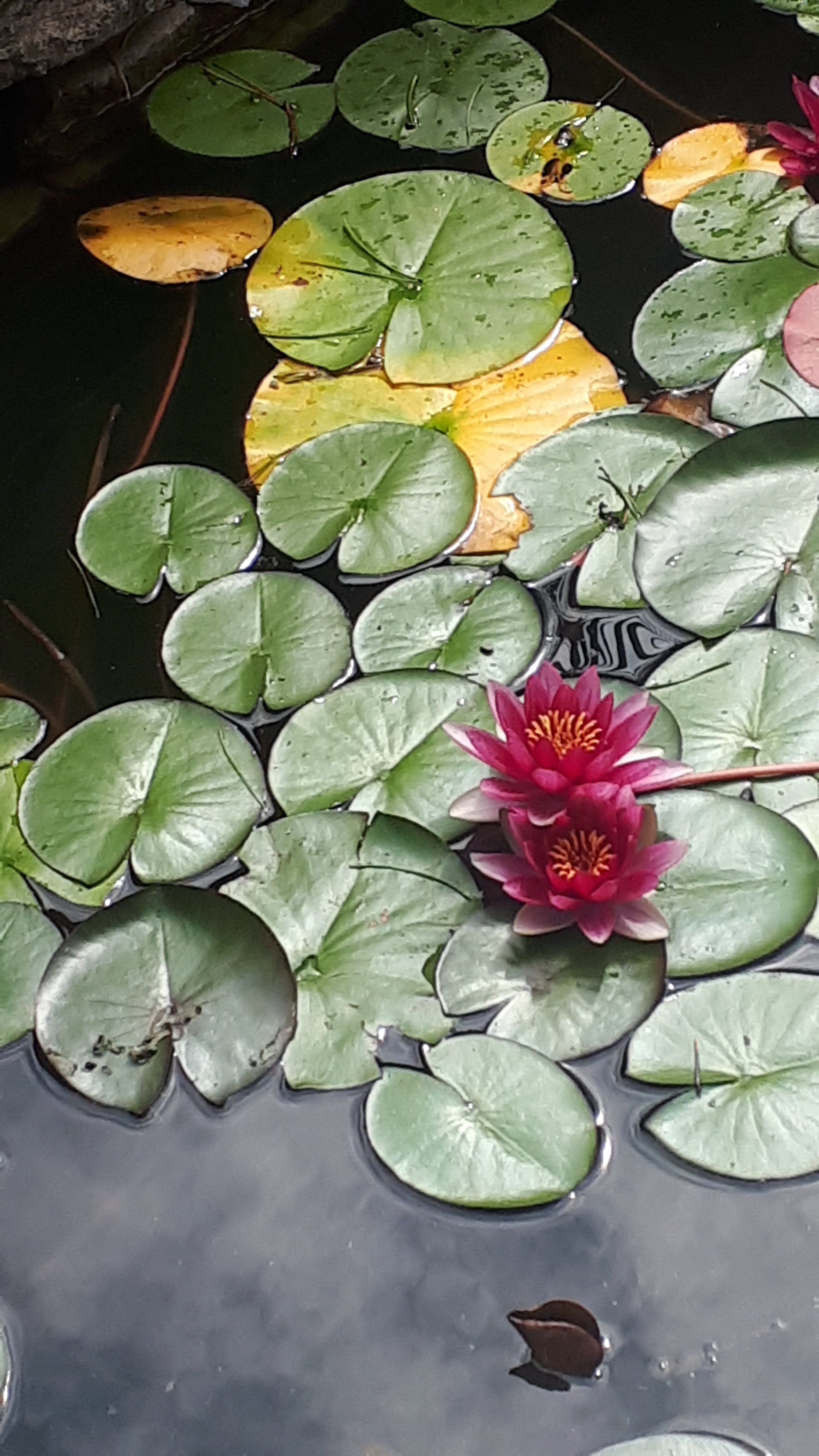 Фото Санаторий Радуга