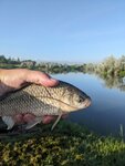 Bent 13 (Almaty oblysy, Ile aýdany, Kókqaınar aýyly), pesca, piscicultura