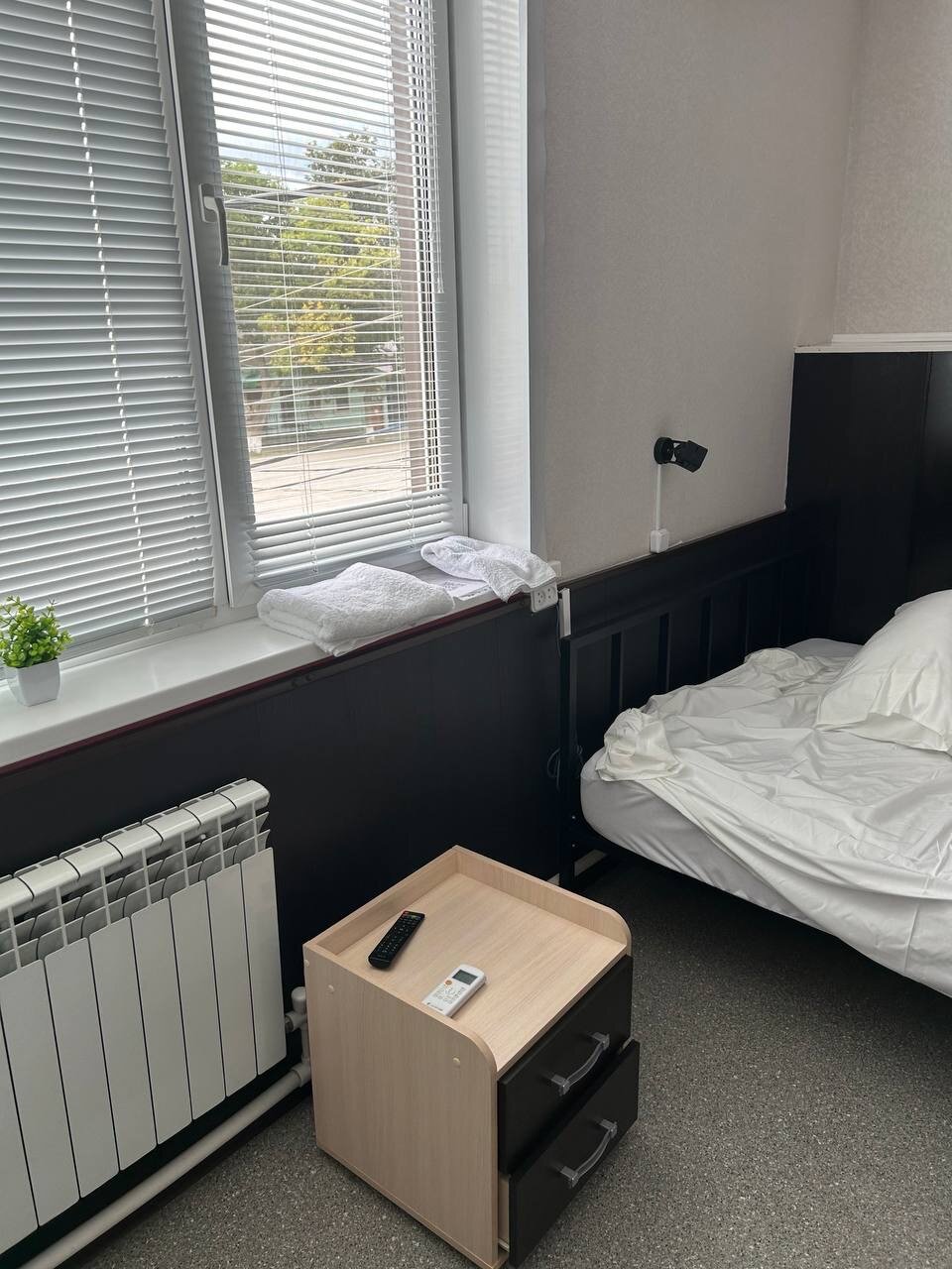 Фото Колибри