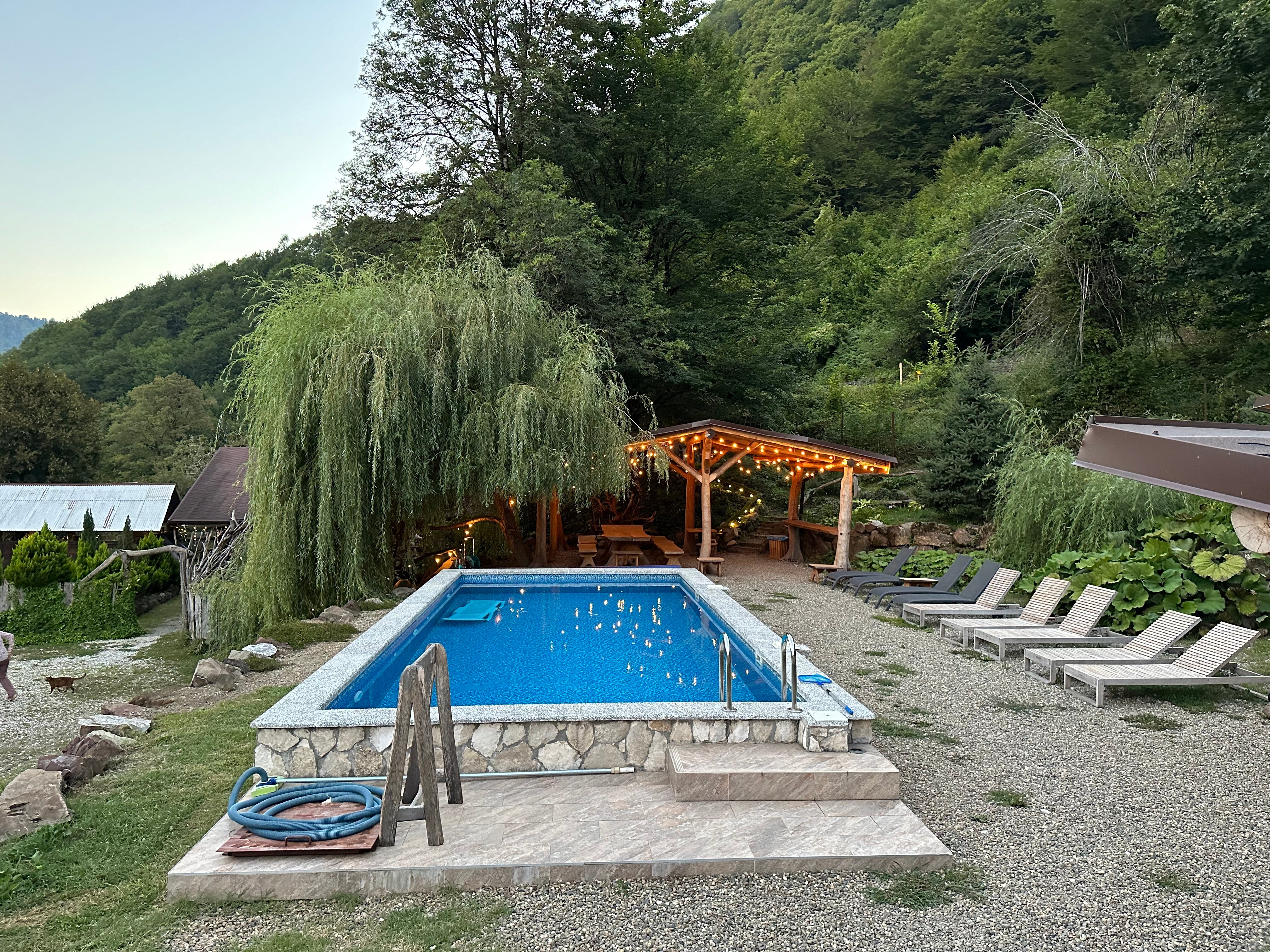 Фото Добрый Дом