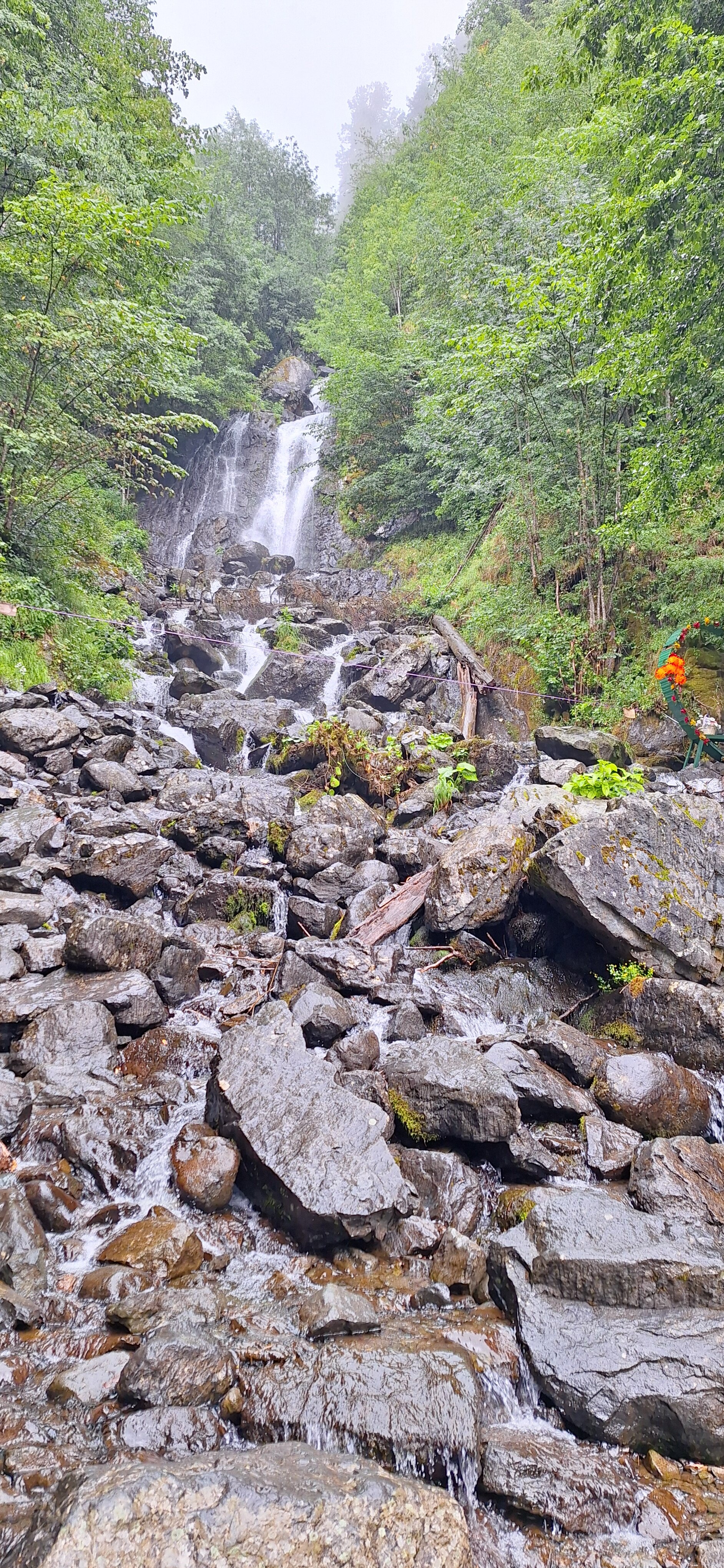 Фото Дом отдыха им. Челюскинцев