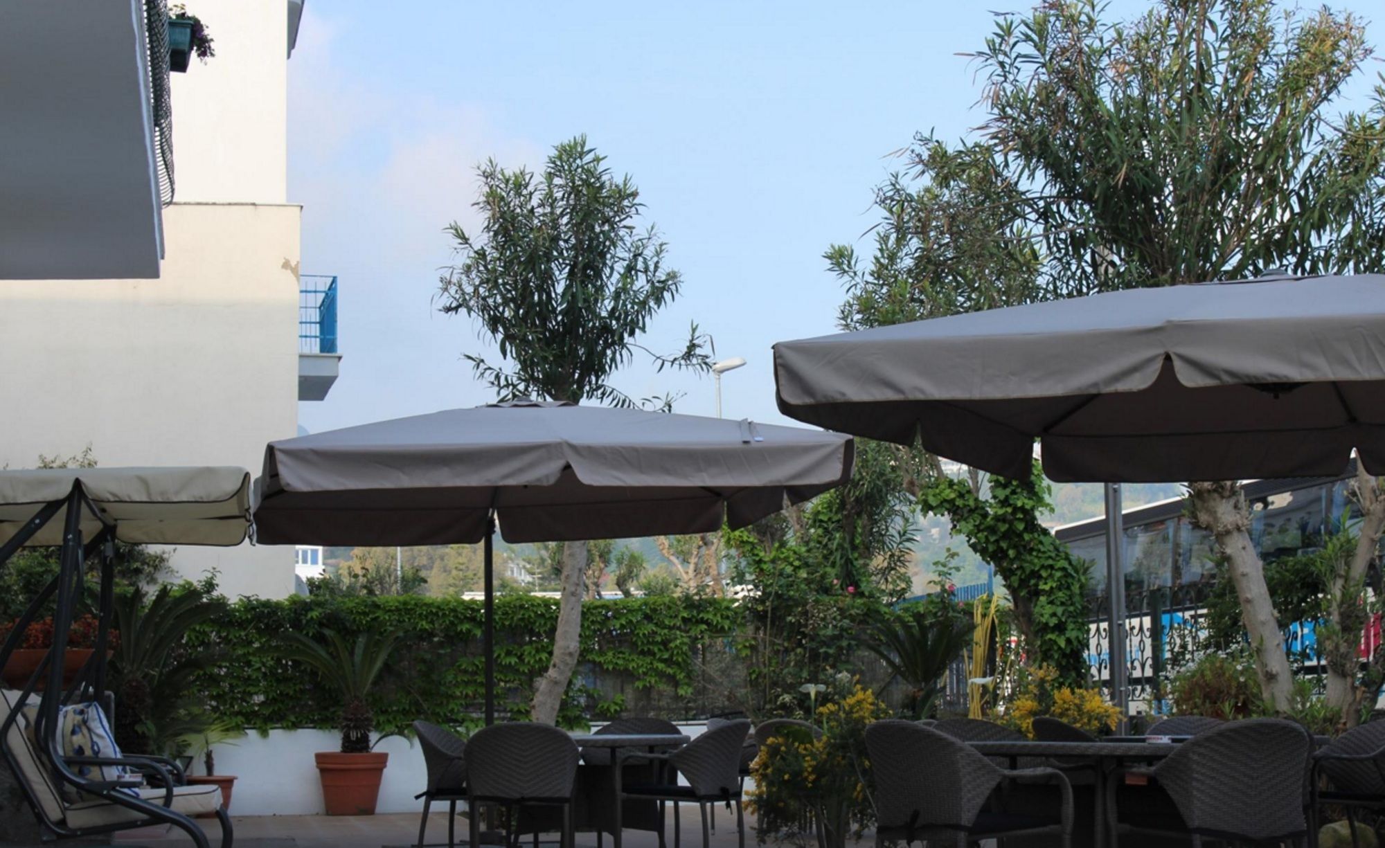 Фото Hotel Stella Maris Terme & Beauty