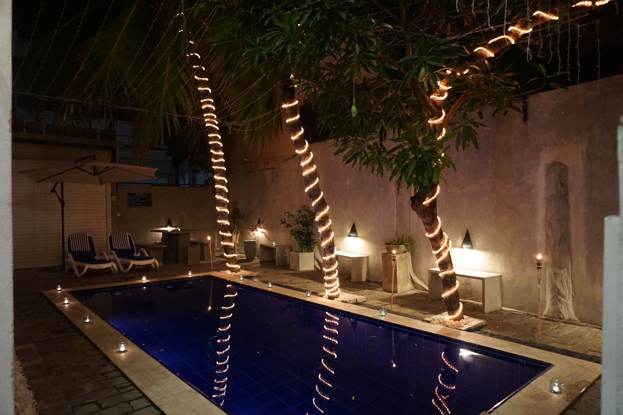 Фото The Villa in Lavinia