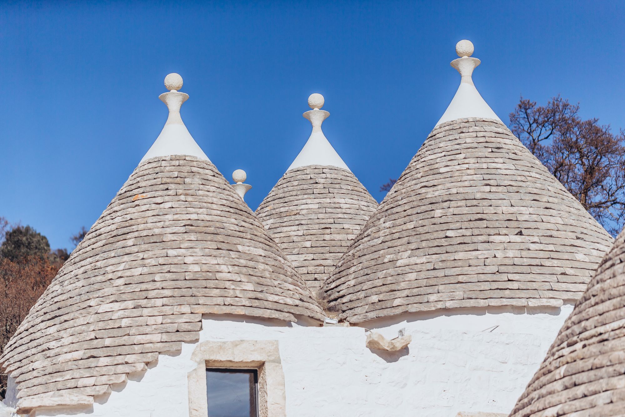 Фото Borgo Canonica