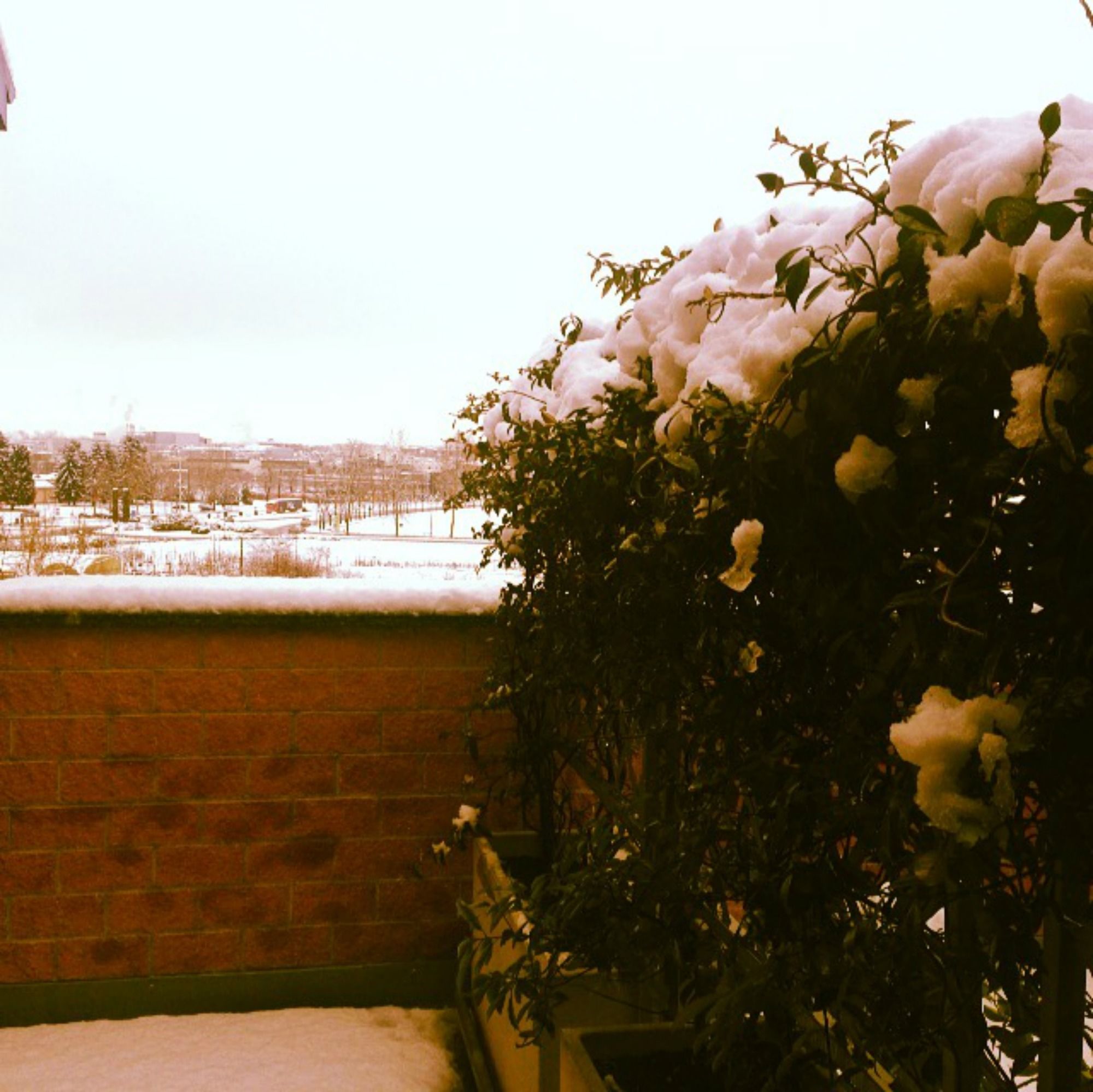 Фото Alba Residence