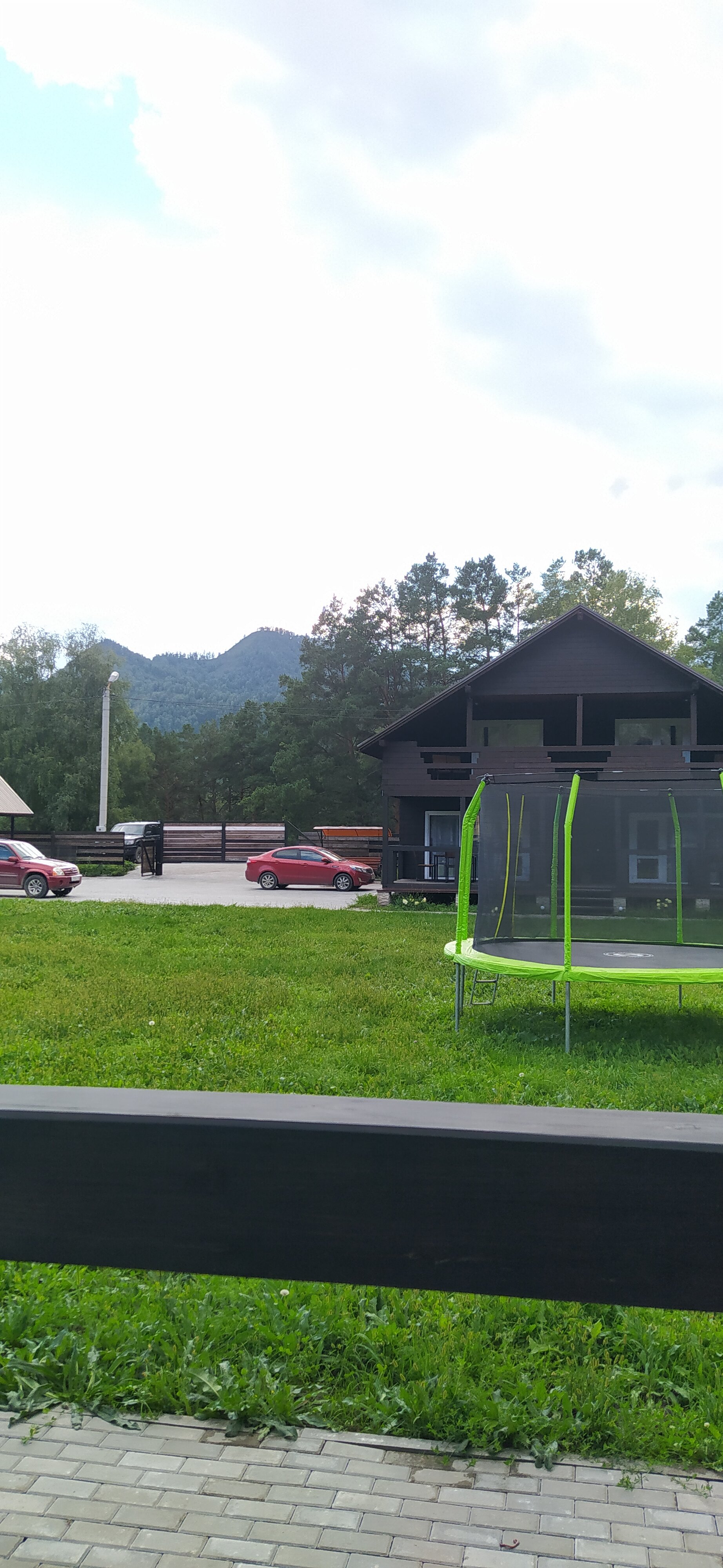 Фото Мамонт