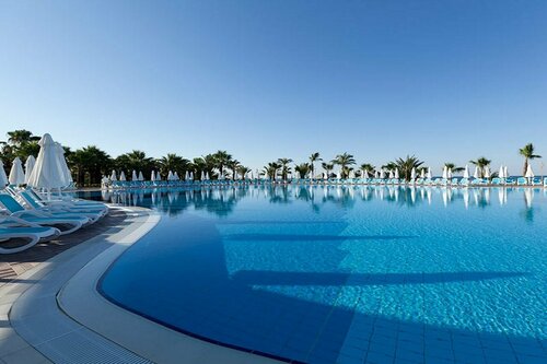 Paloma Oceana