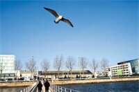 Гостиница Est Western Plus Le Havre Centre Gare в Гавре