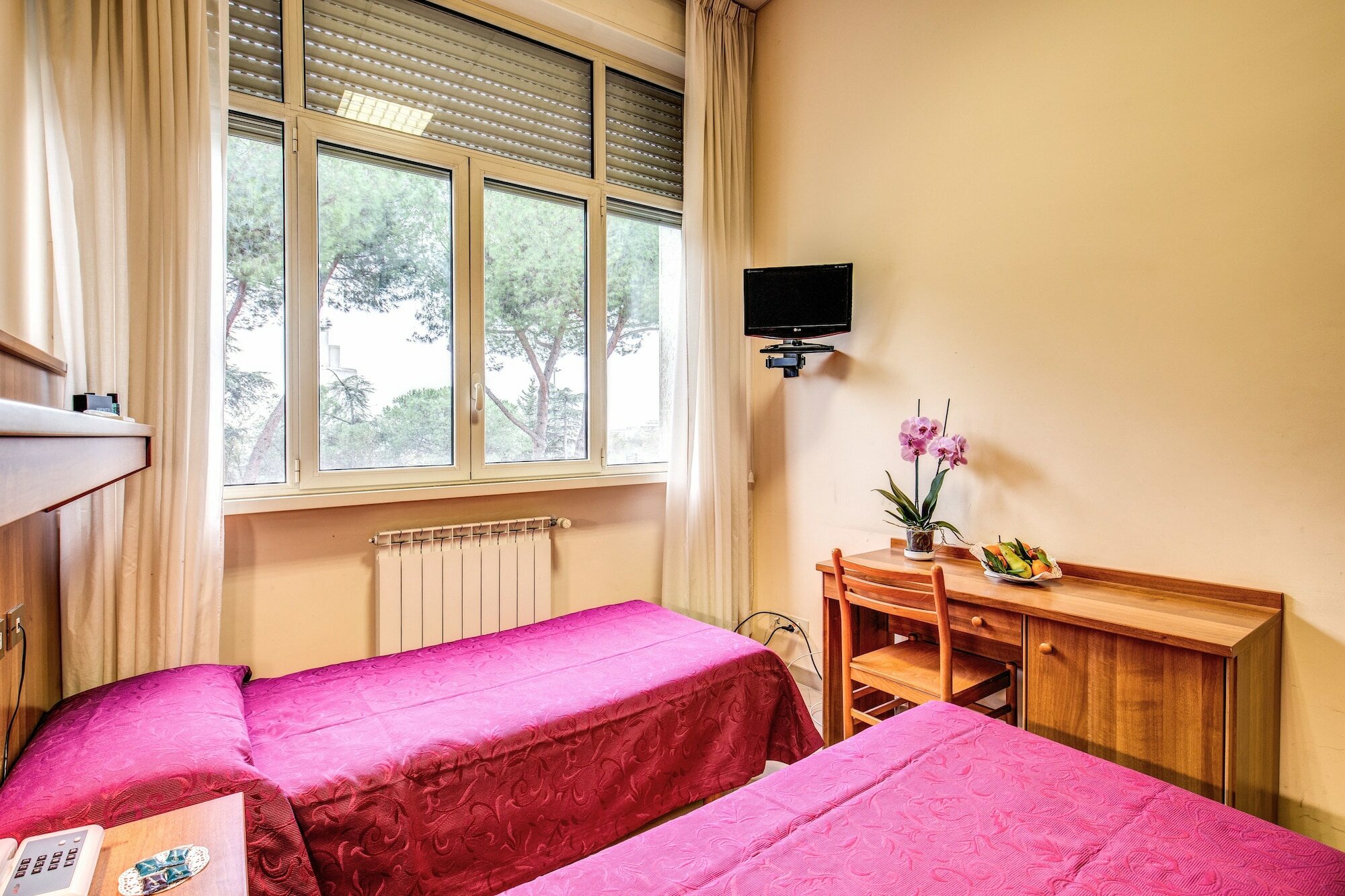 Фото Domus Urbis