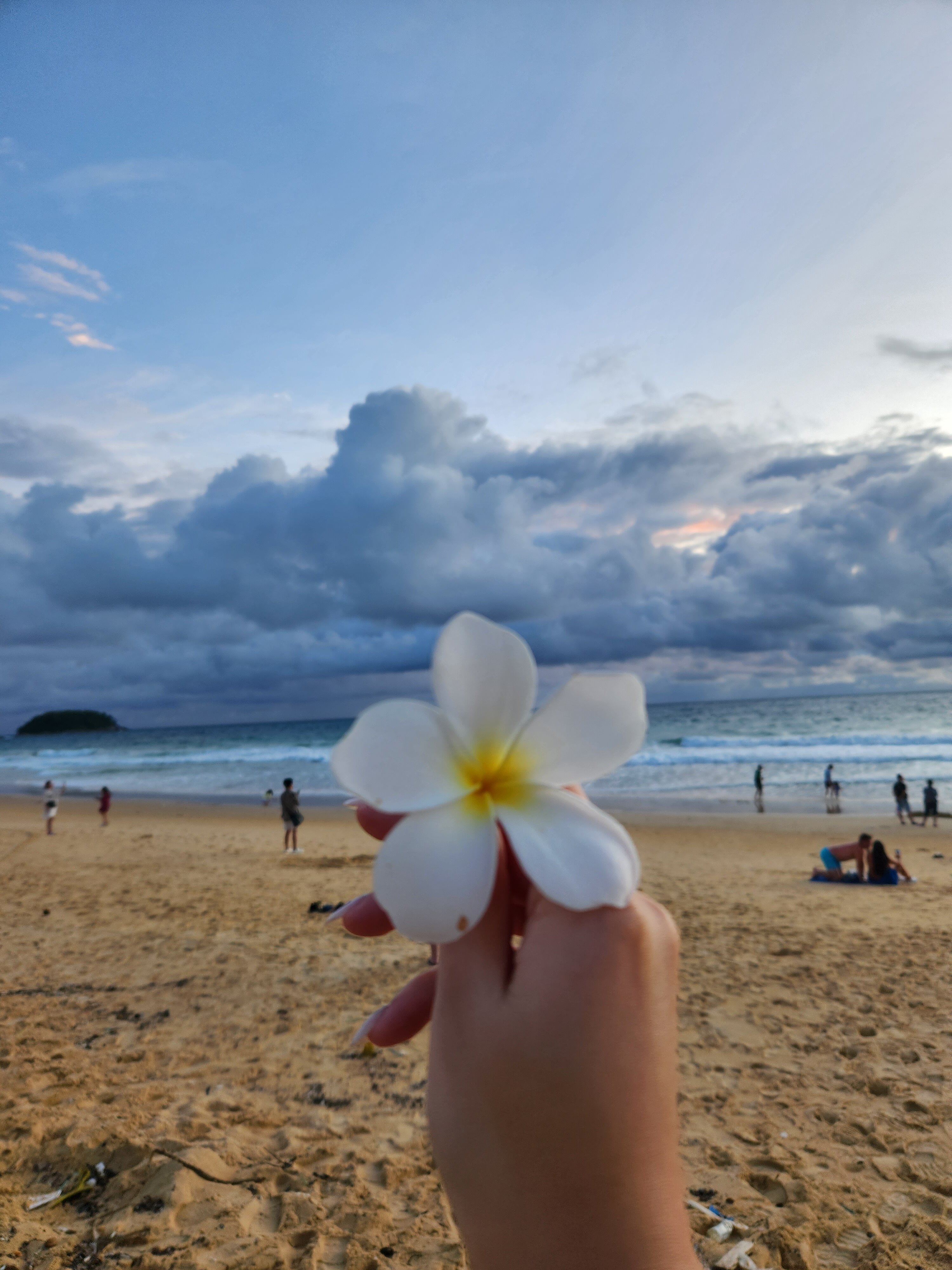 Фото Pullman Phuket Karon Beach Resort