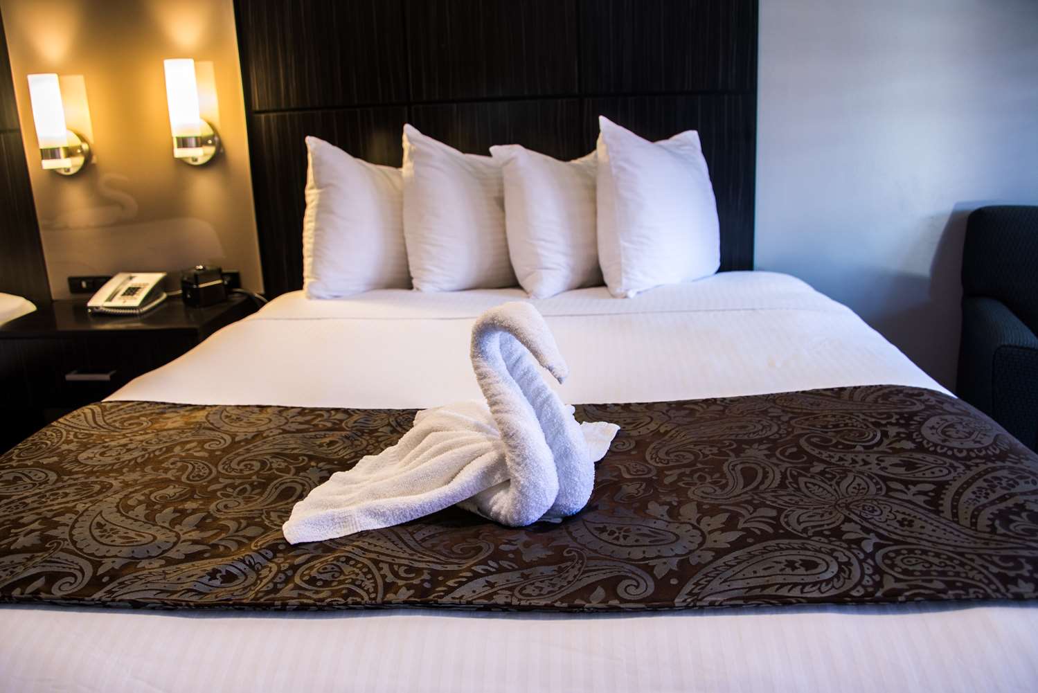 Фото SureStay Plus by Best Western Santa Clara Silicon Valley