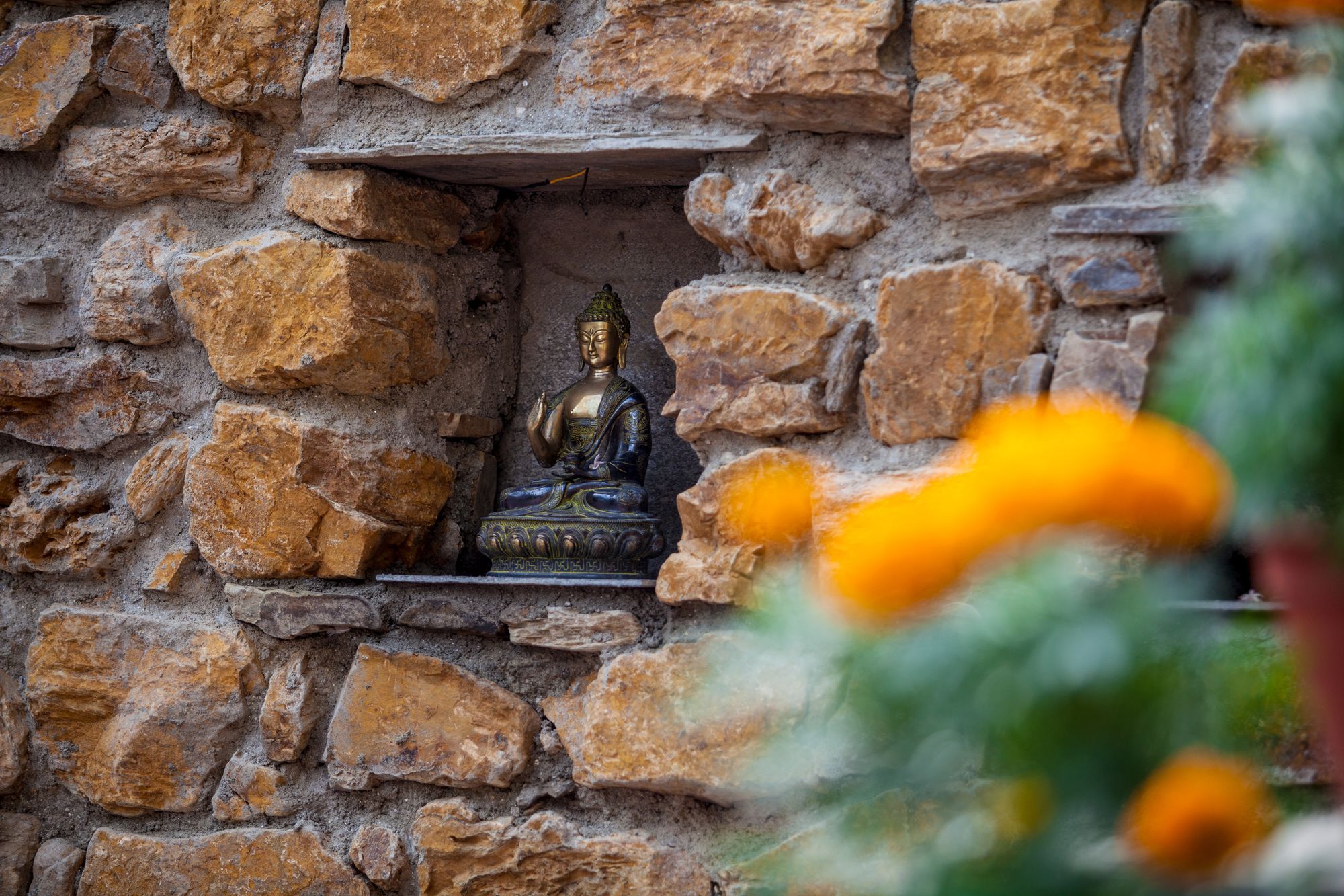 Фото Shambaling Boutique Hotel