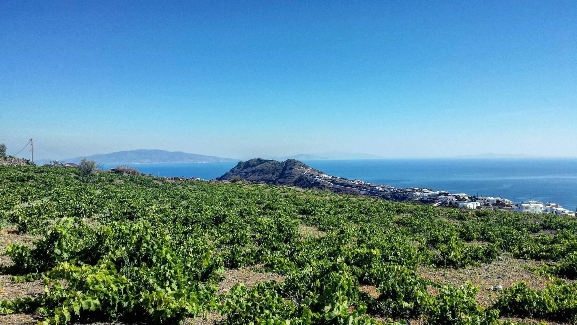 Фото Villa Happening