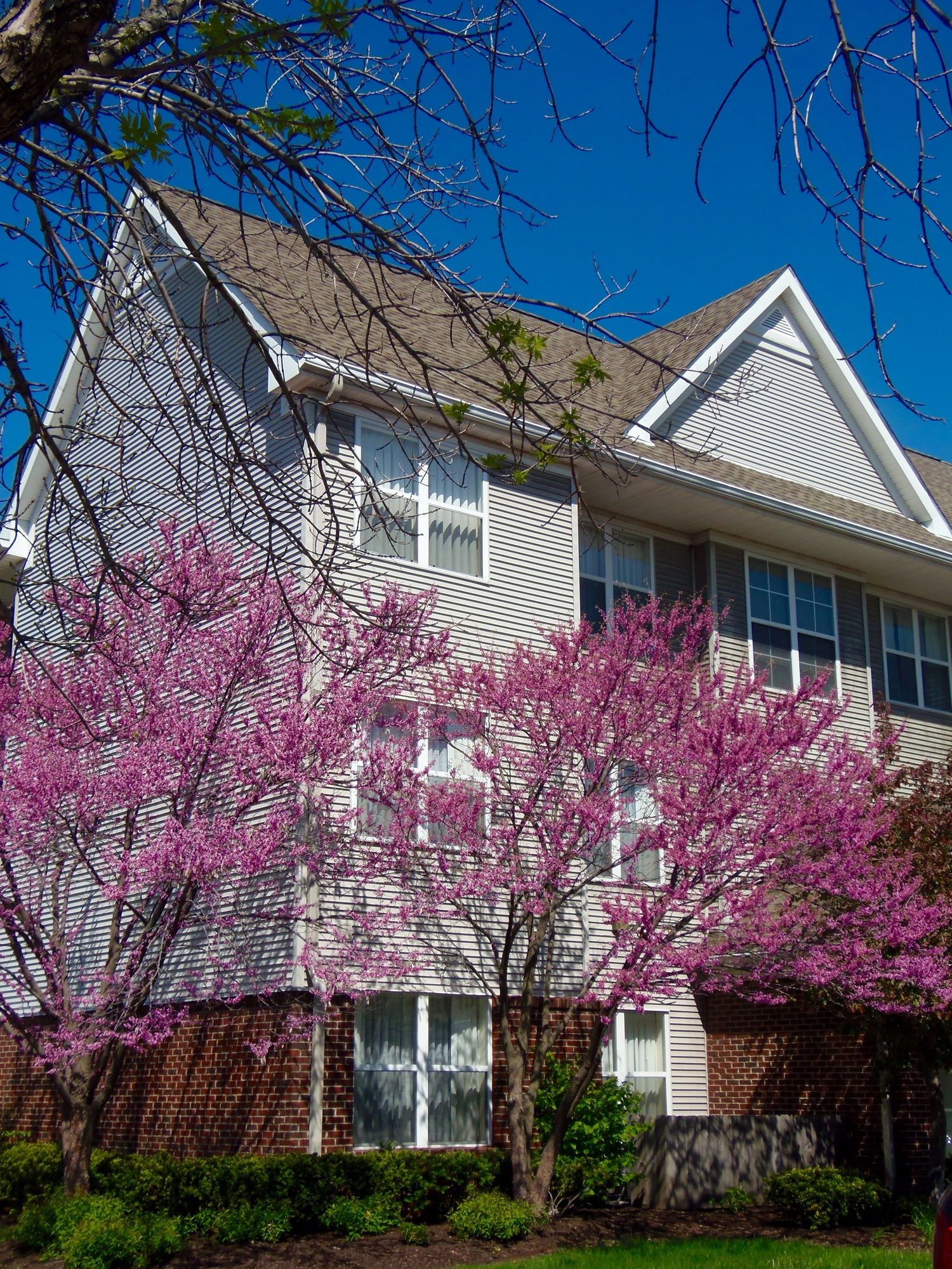 Фото Residence Inn by Marriott Indianapolis Airport
