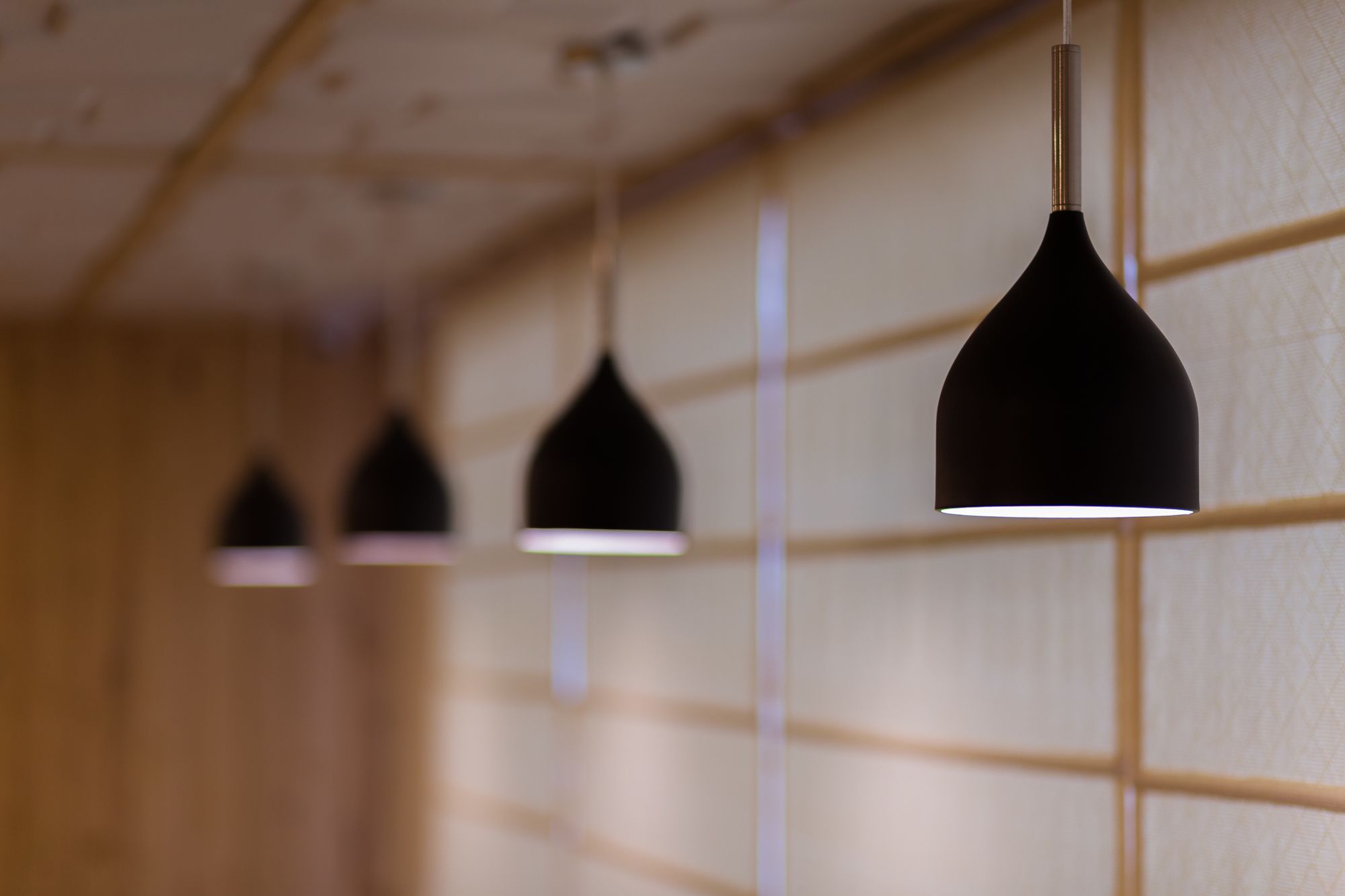 Фото The Solitaire Express