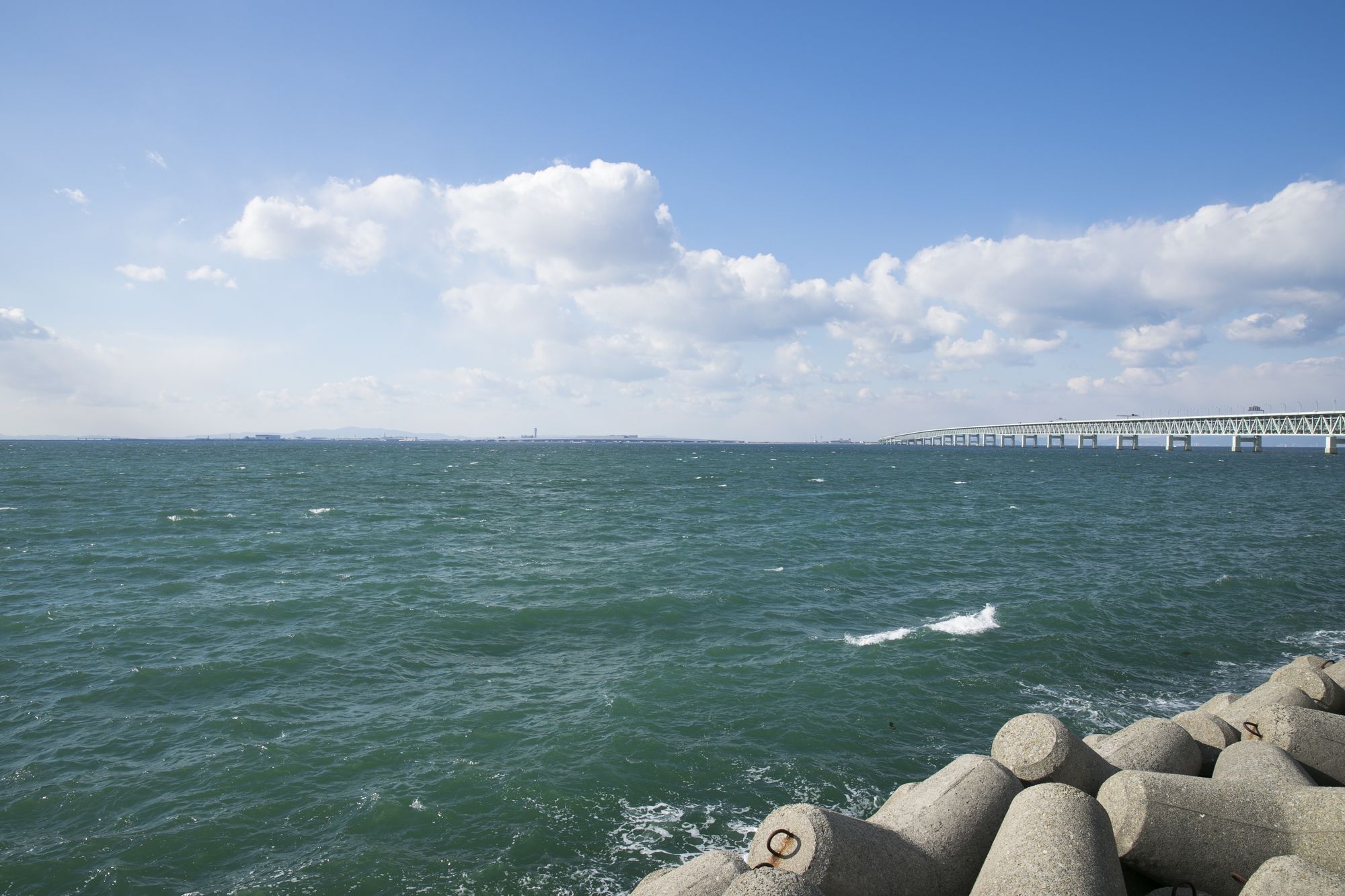 Фото Hotel Nikko Kansai Airport