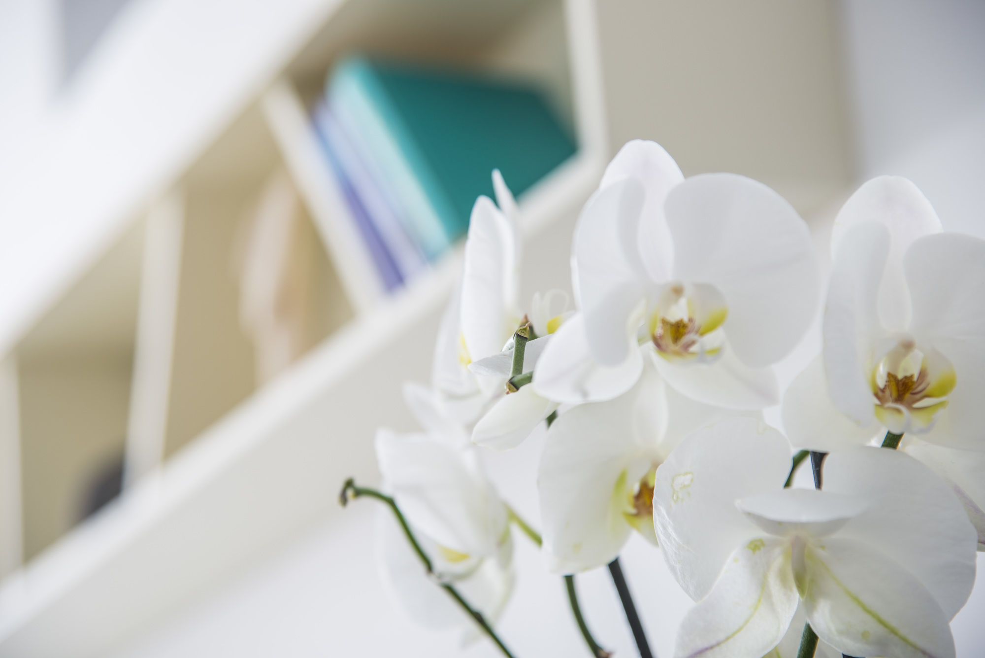 Фото Ambition Suites