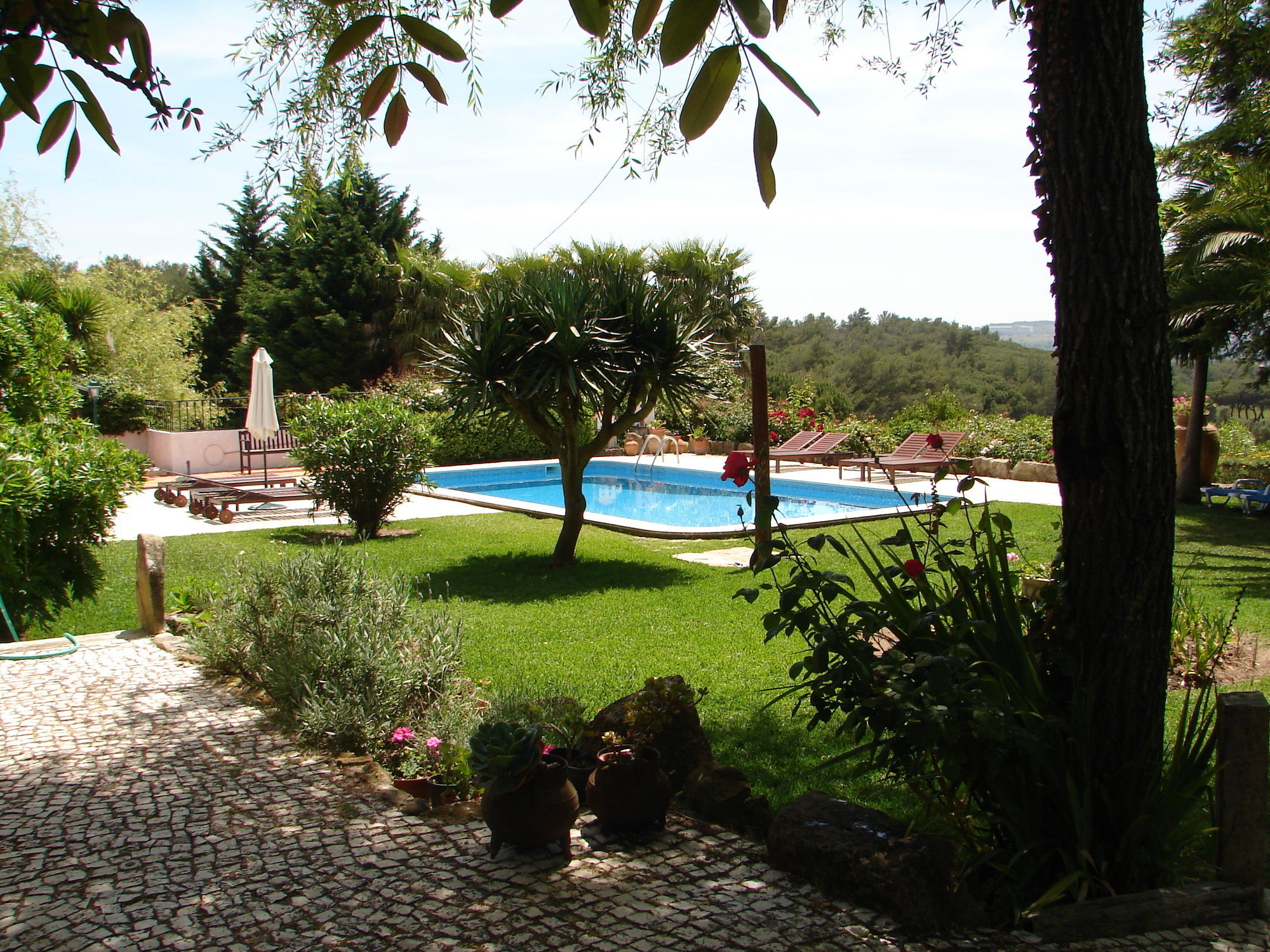 Фото Quinta Verde Sintra