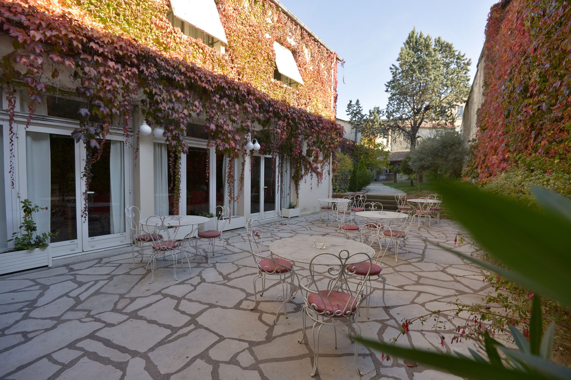 Фото Ibis Styles Centre Niort Hotel