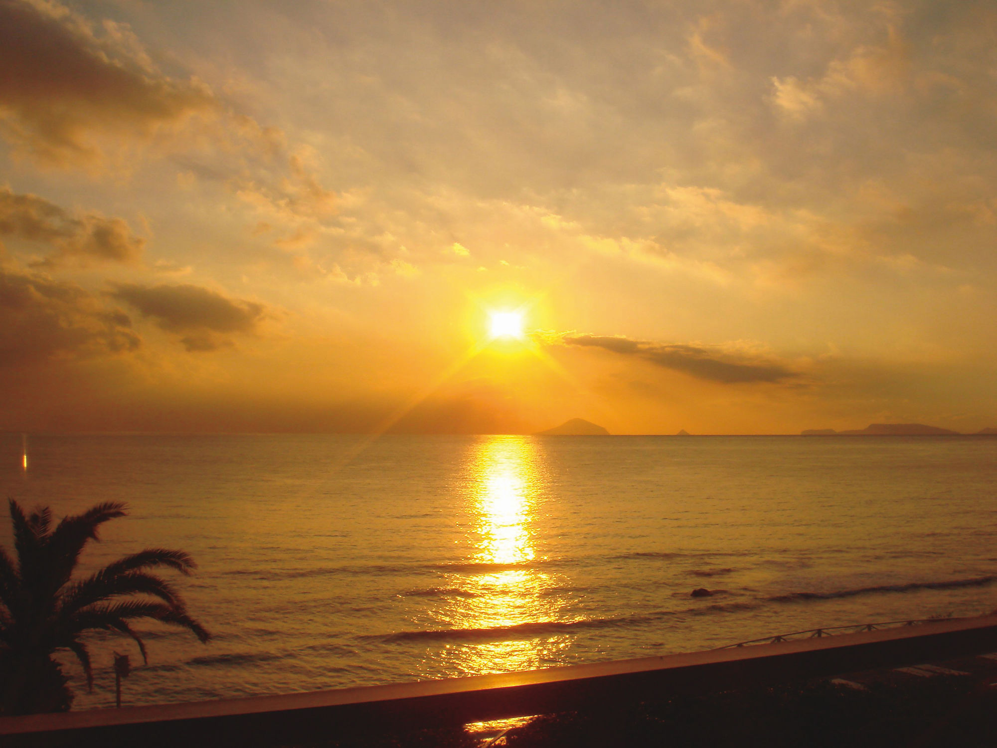 Фото Shimoda Prince Hotel