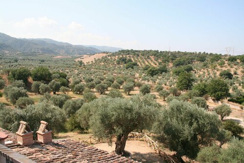 Внешний вид отеля Tenuta Ciminata Greco в Россано-Скале, фото 4
