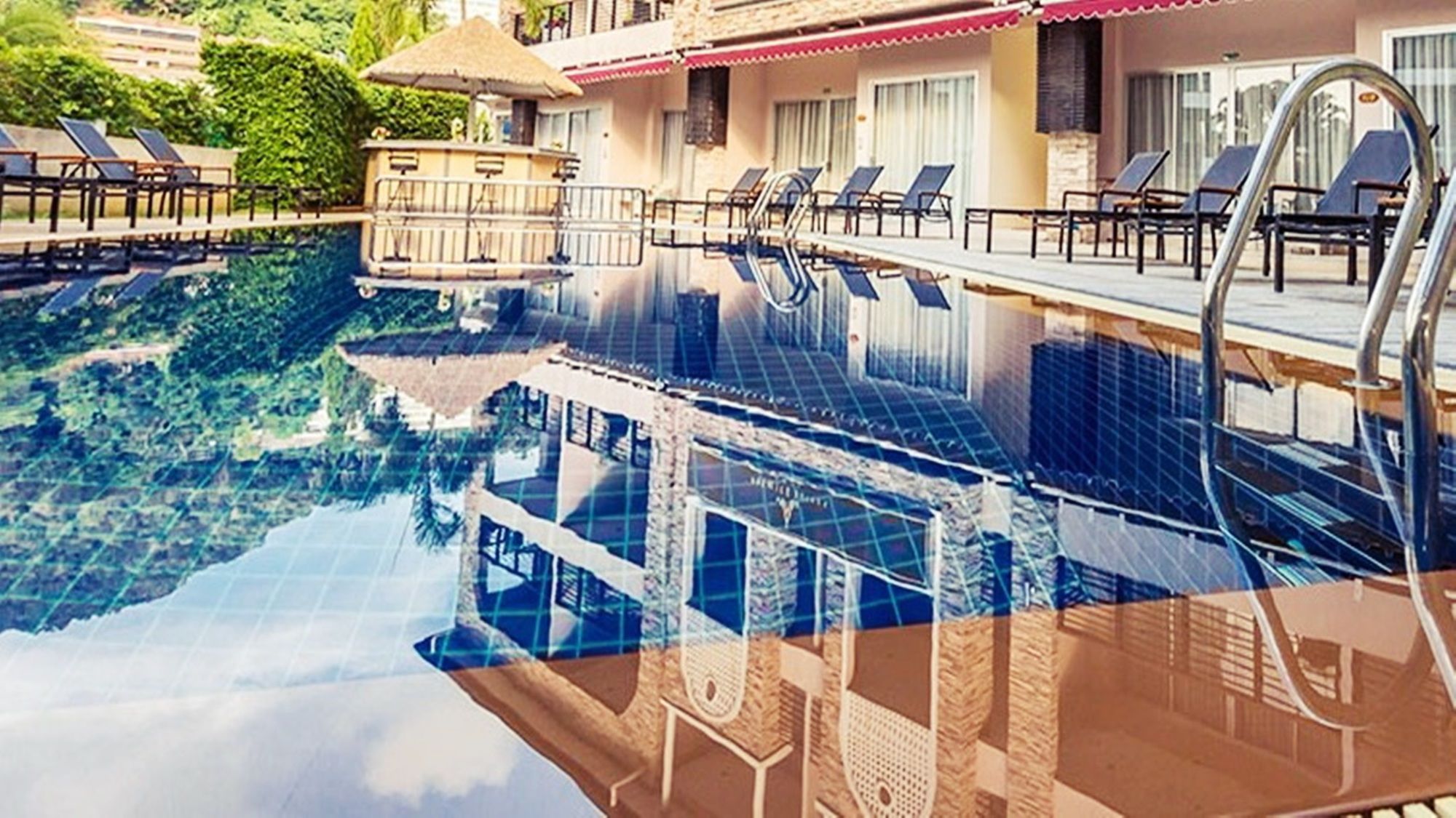 Фото The Orchid House