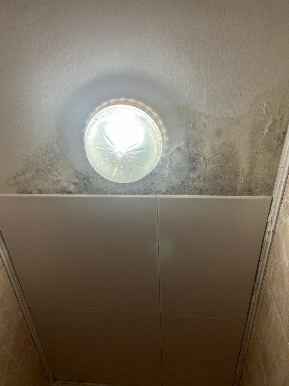 Фото Семейный пансион