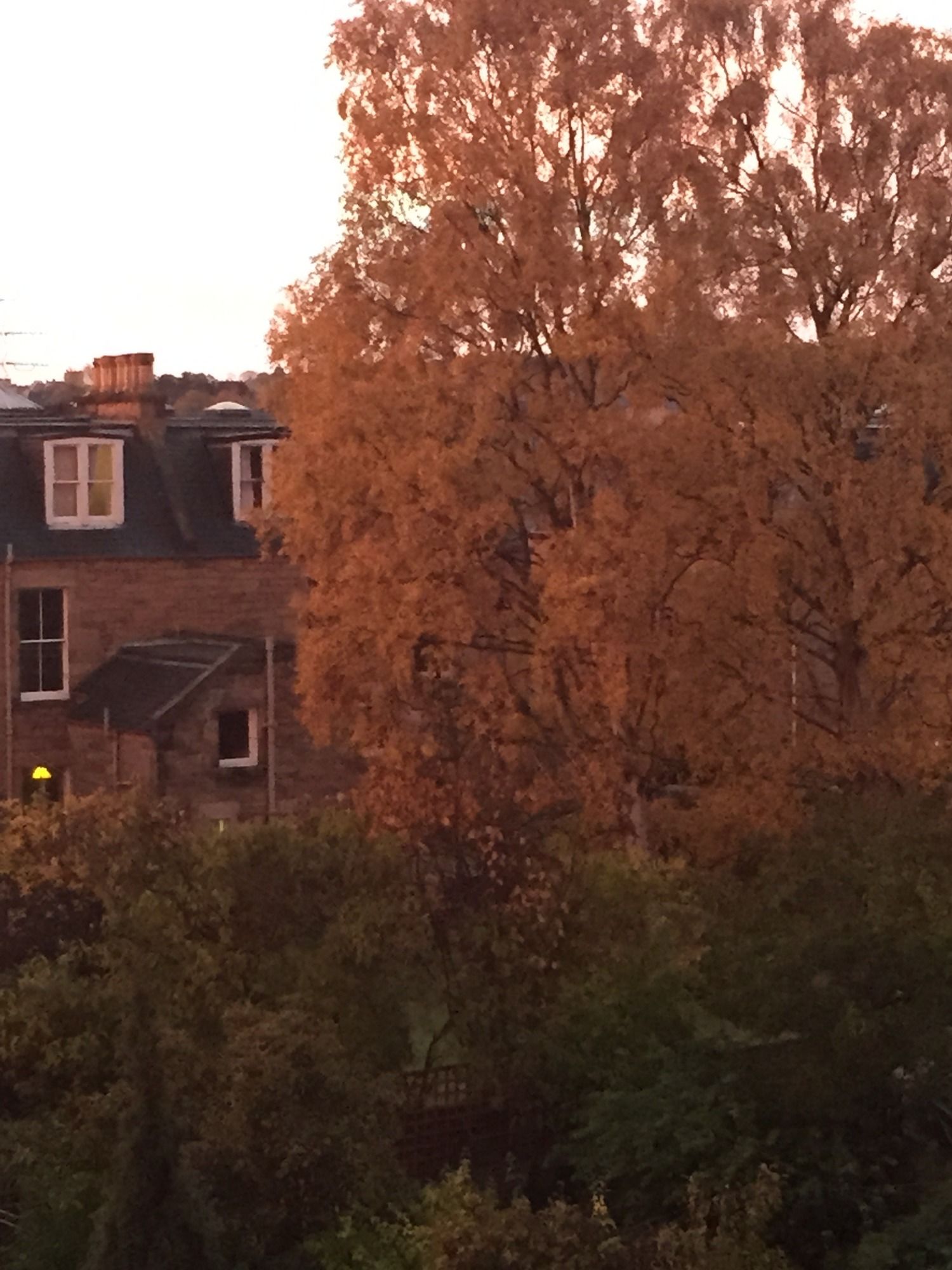 Фото Ashdene House