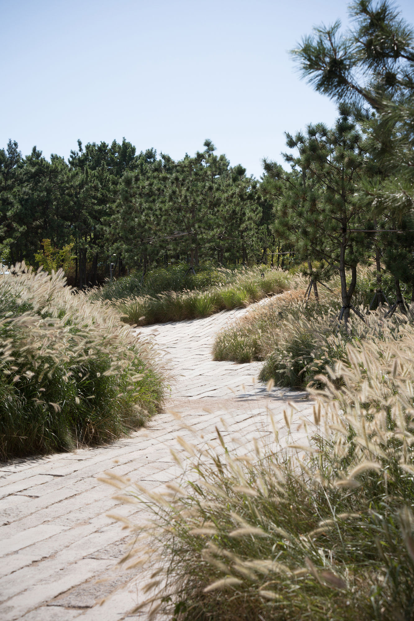 Фото Nest Hotel Incheon