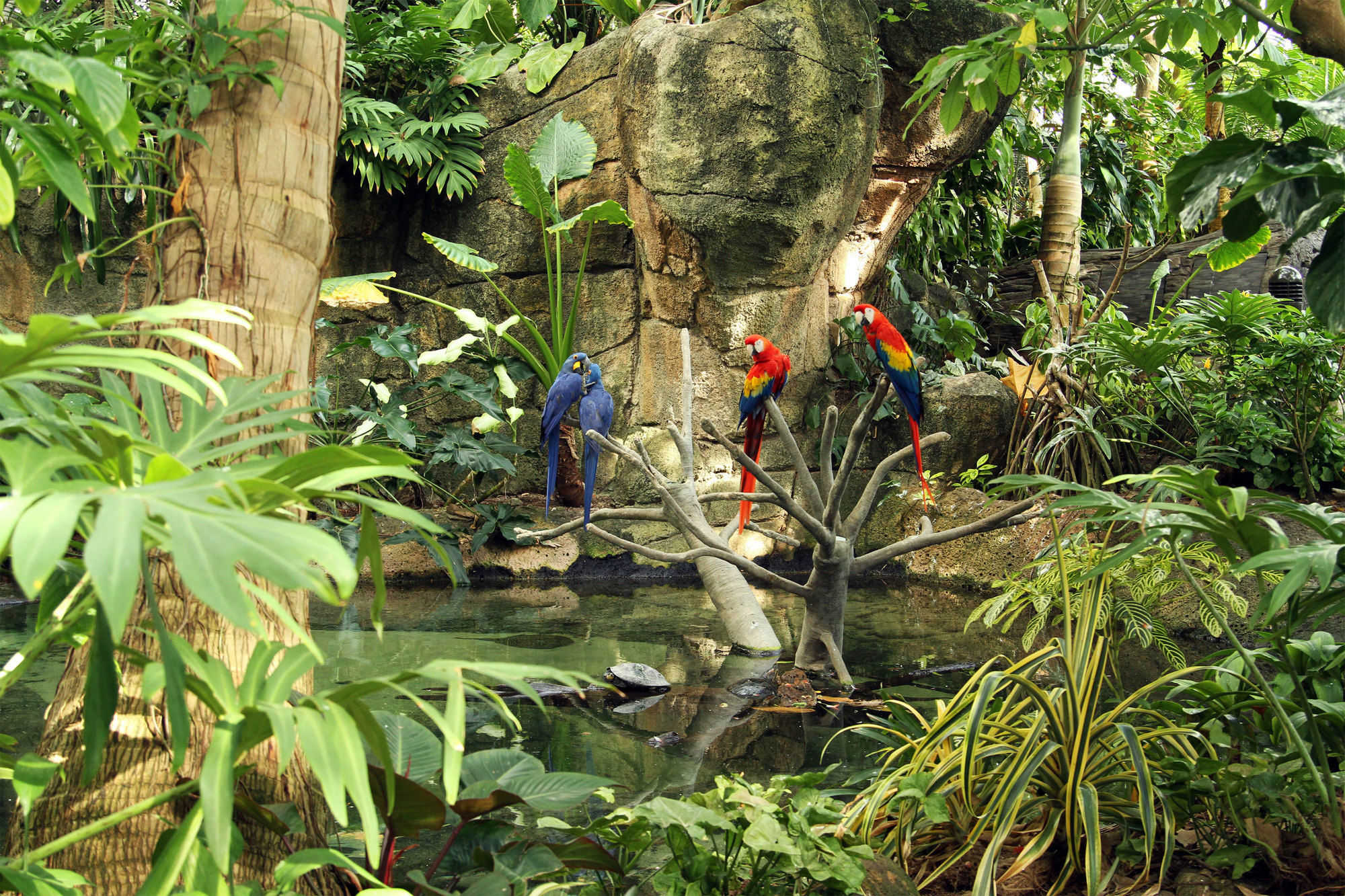 Фото Inn at The Waterpark